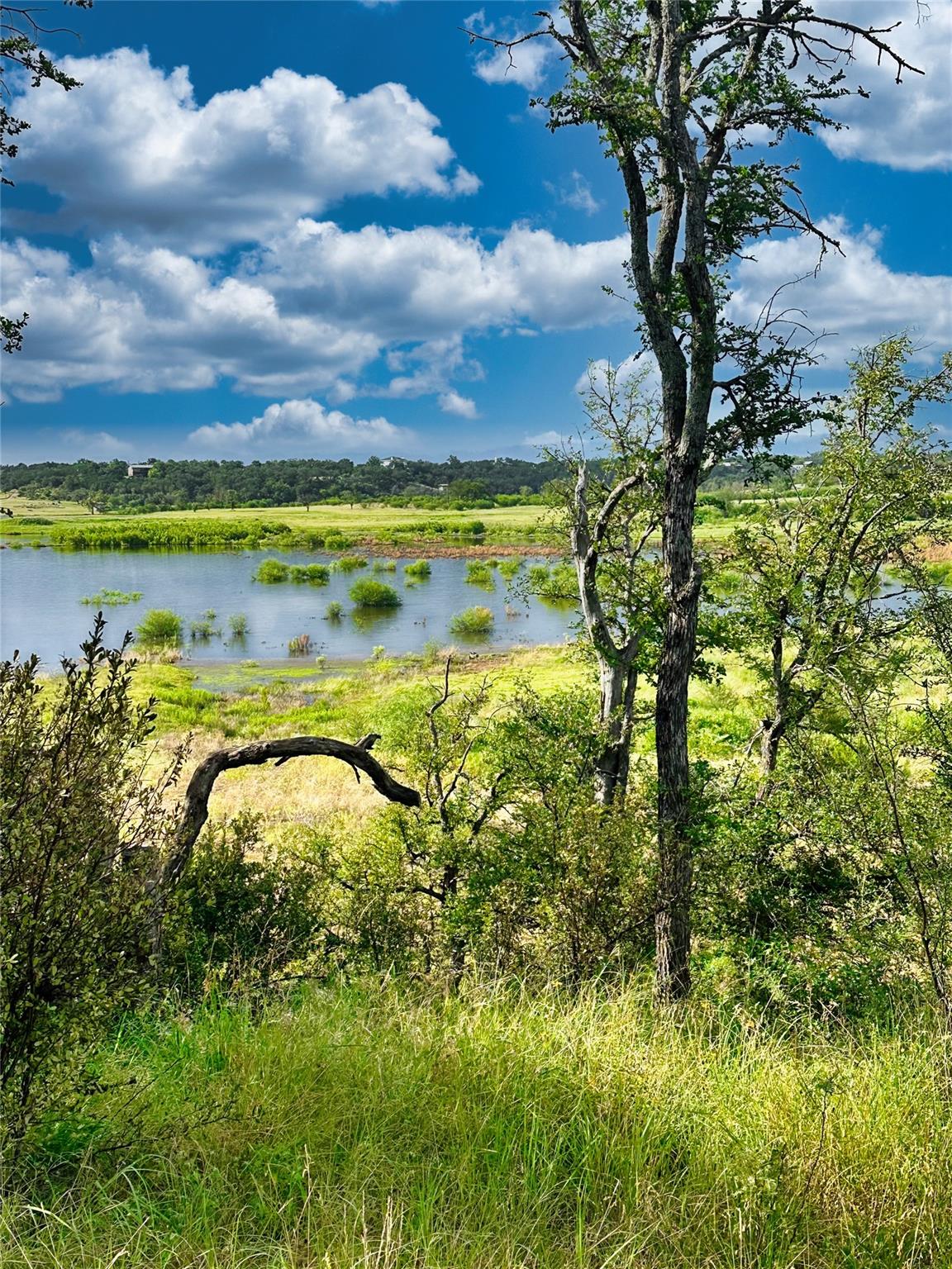 29 Chimney Cove DR, Marble Falls, TX 78654