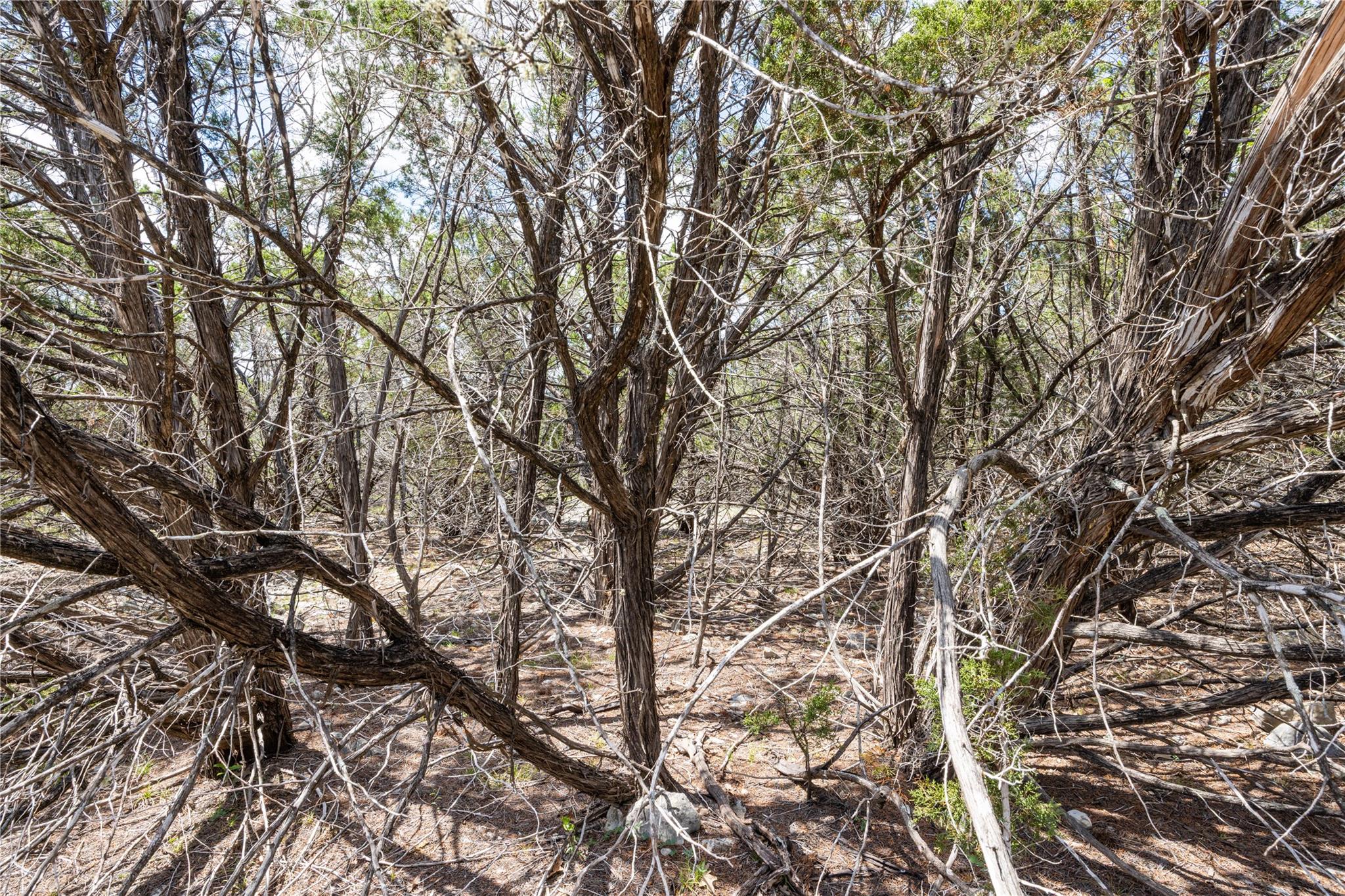 27 Sitting Bull RD, Wimberley, TX 78676
