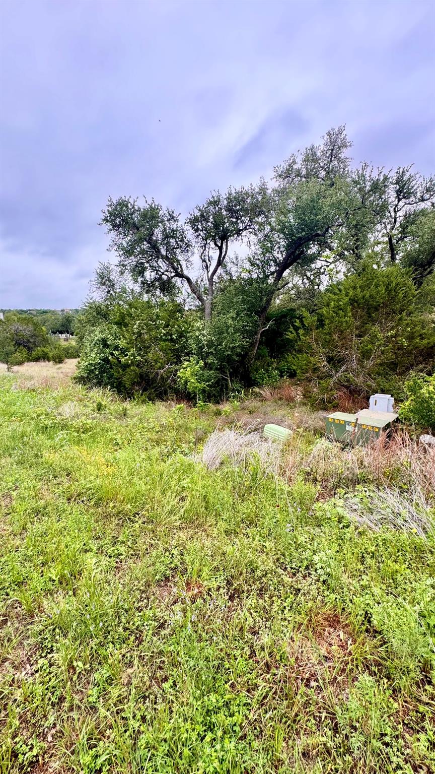 673 Yorks XING, Driftwood, TX 78619