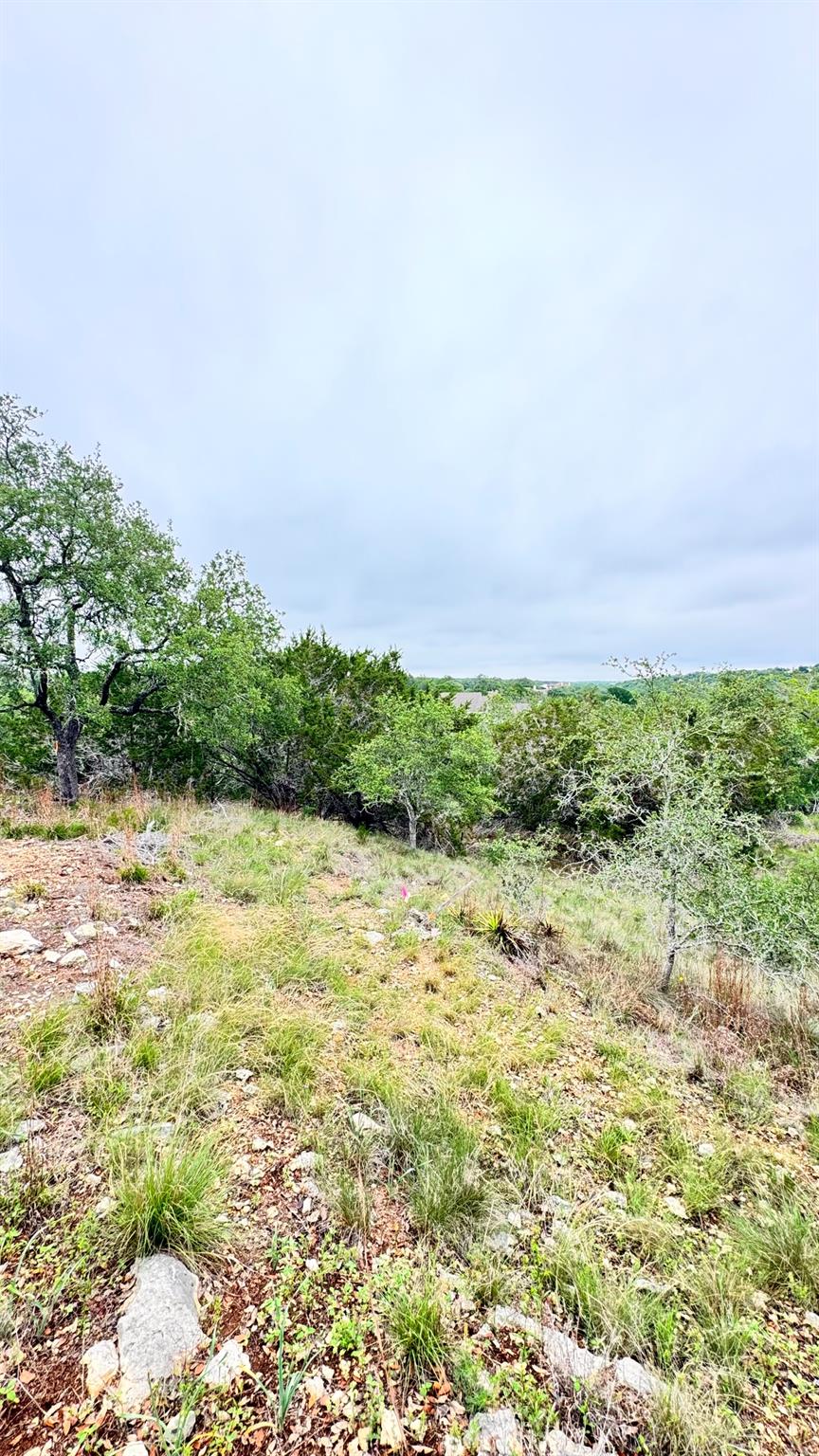 673 Yorks XING, Driftwood, TX 78619