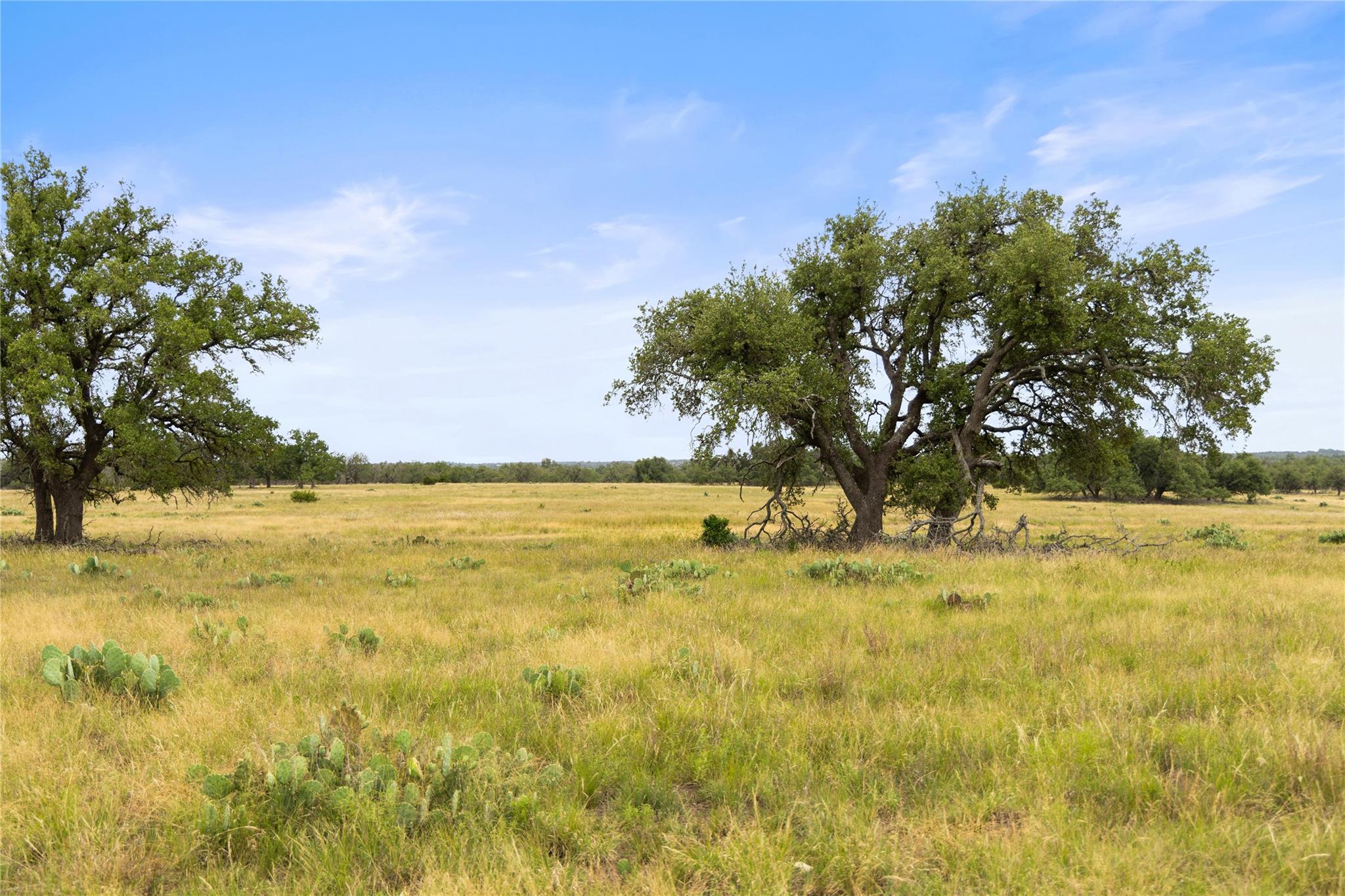 3049 Reservation Road RD, Harper, TX 78631