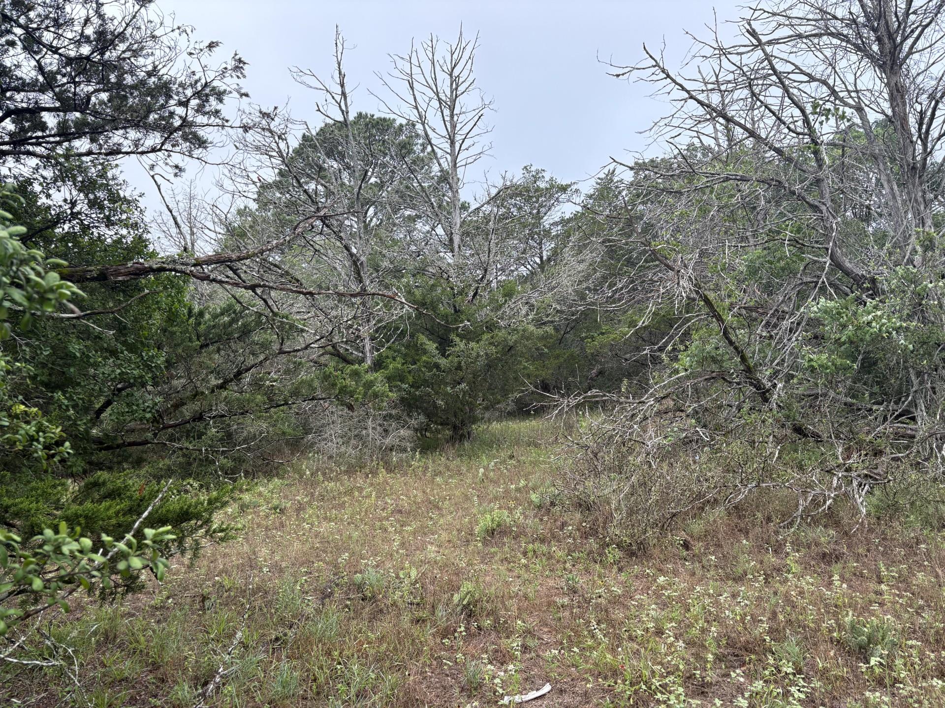 TBD Hanauma DR, Bastrop, TX 78602