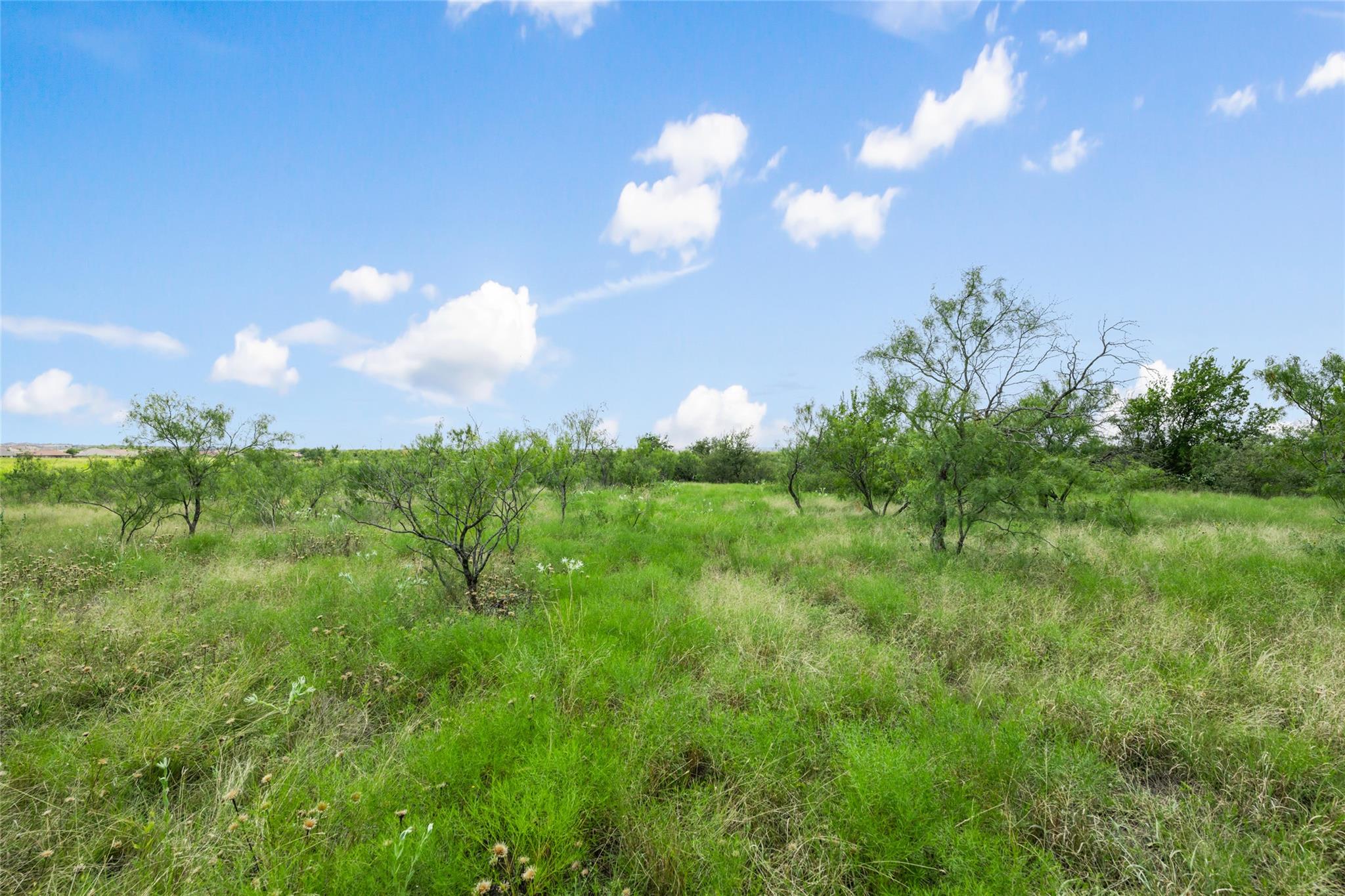 925 N 1st ST, Jarrell, TX 76537