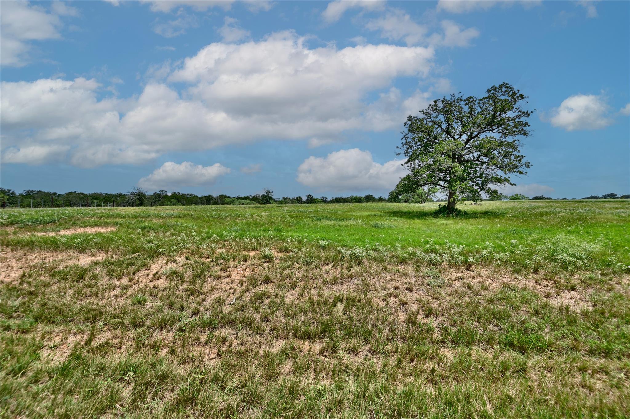 0 New Moon CT, Red Rock, TX 78662
