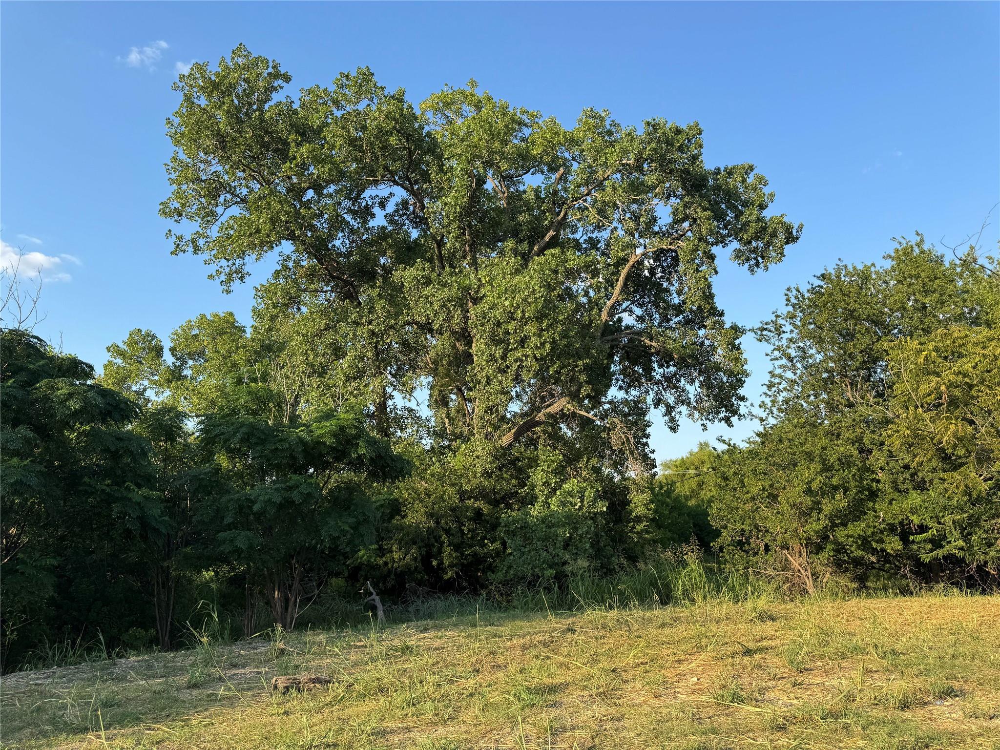 4401 Trimmier RD, Killeen, TX 76542