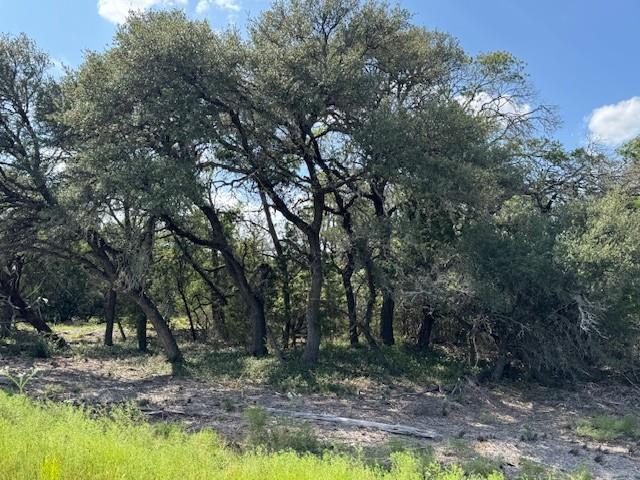 Lot 23 Rifle Rg, Burnet, TX 78611