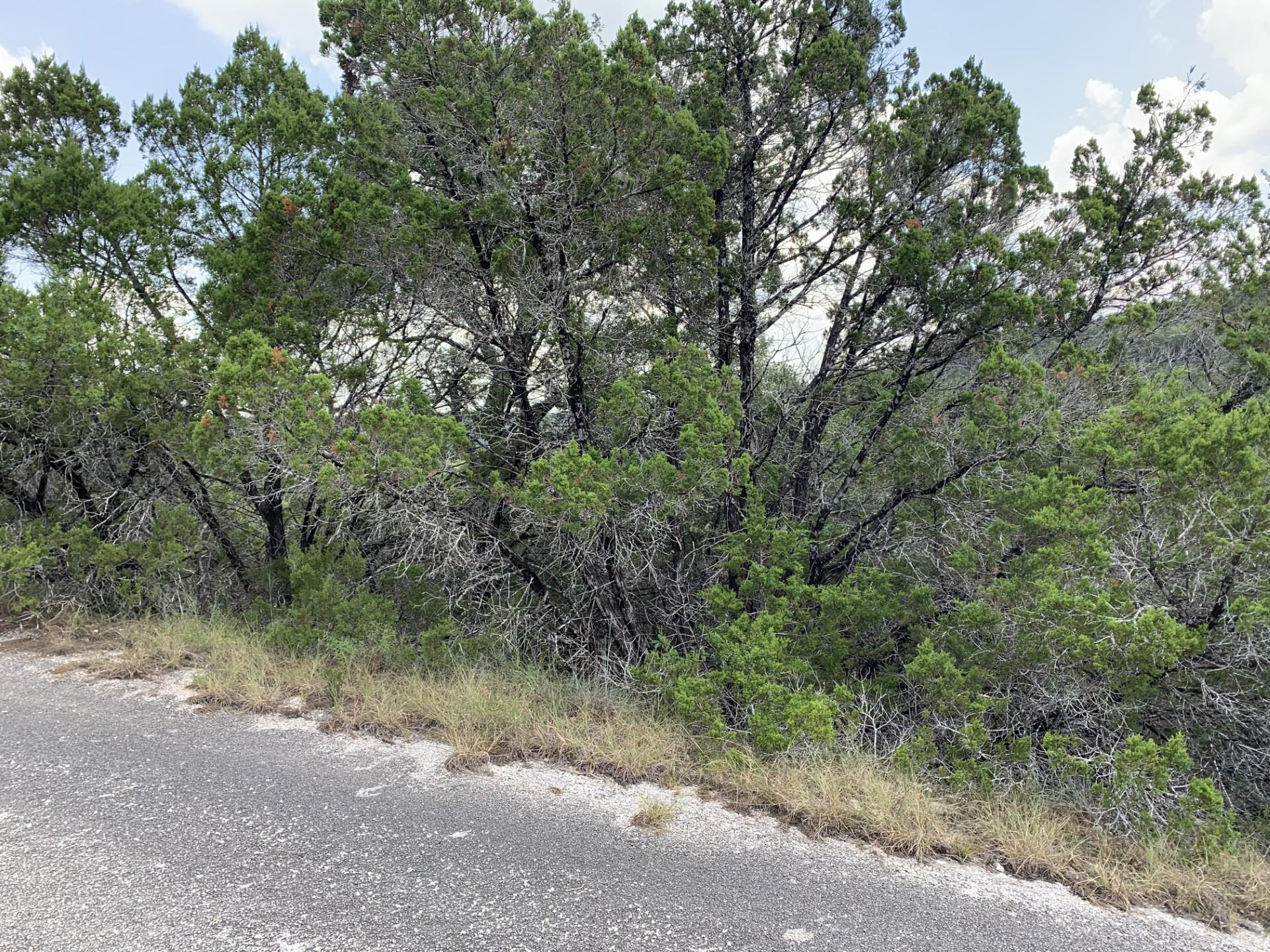 8607 Teton Ps, Lago Vista, TX 78645