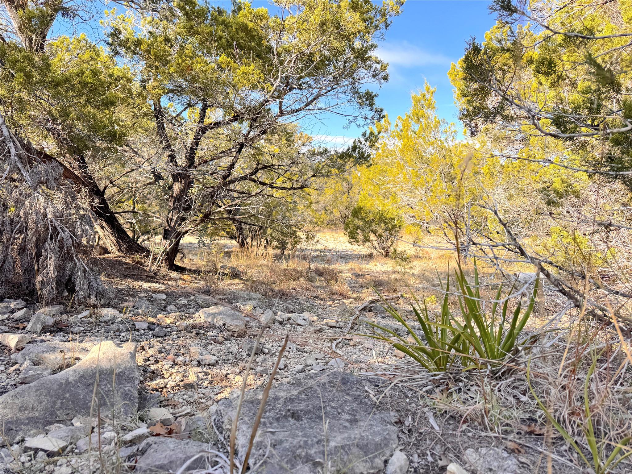 985 Oblate DR, Canyon Lake, TX 78133