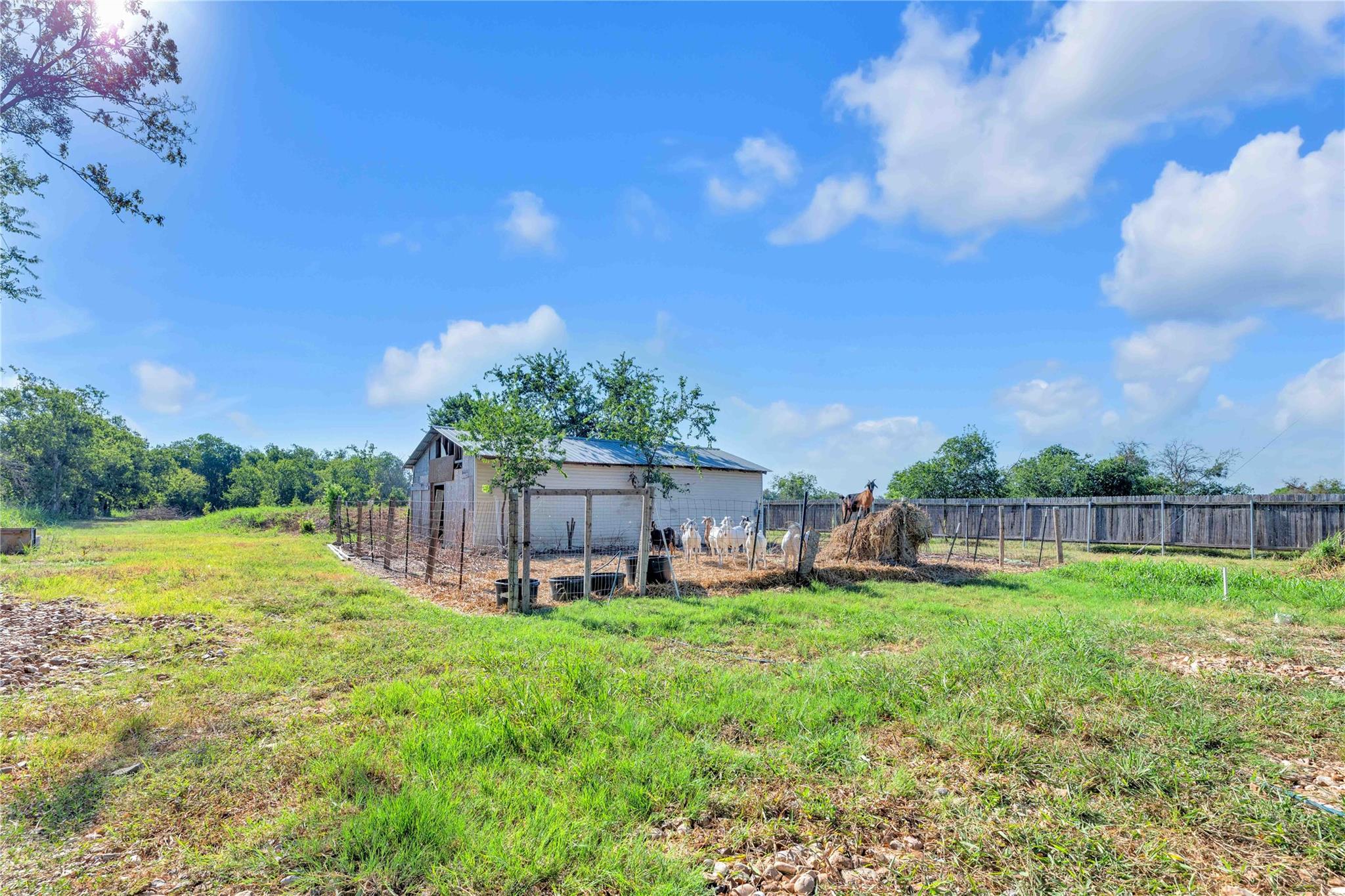 20235 Engelmann LN, Manor, TX 78653