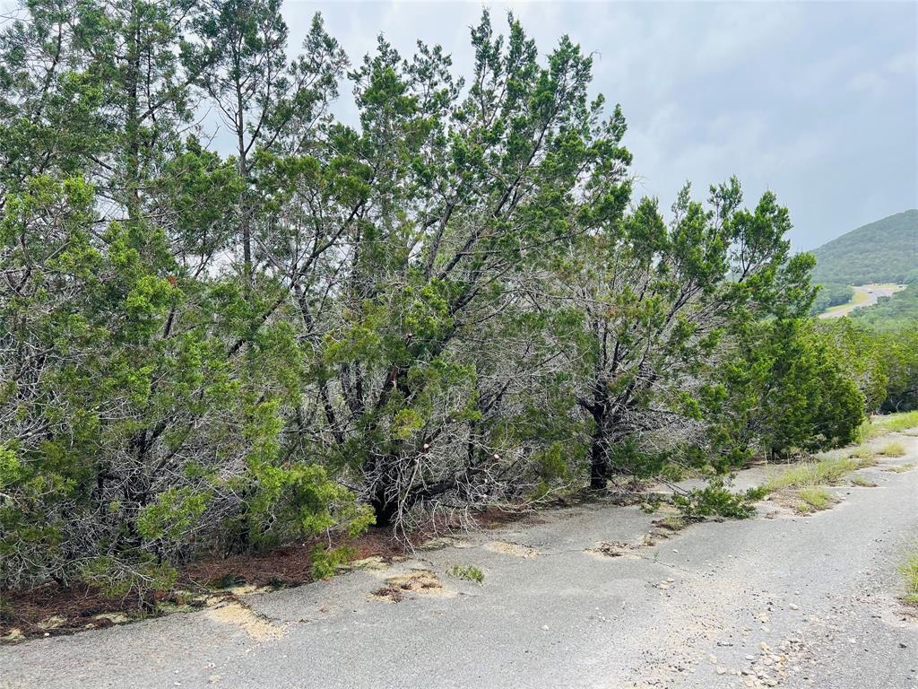 21603 Wyoming Ps, Lago Vista, TX 78645