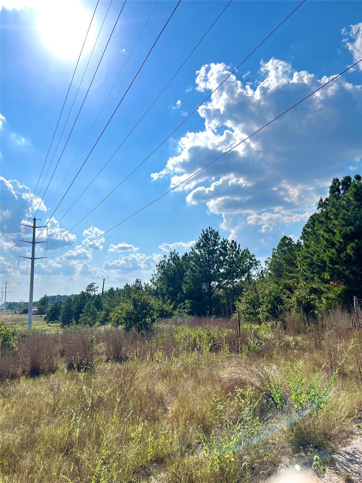 TBD Ponderosa Loop, Paige, TX 78659