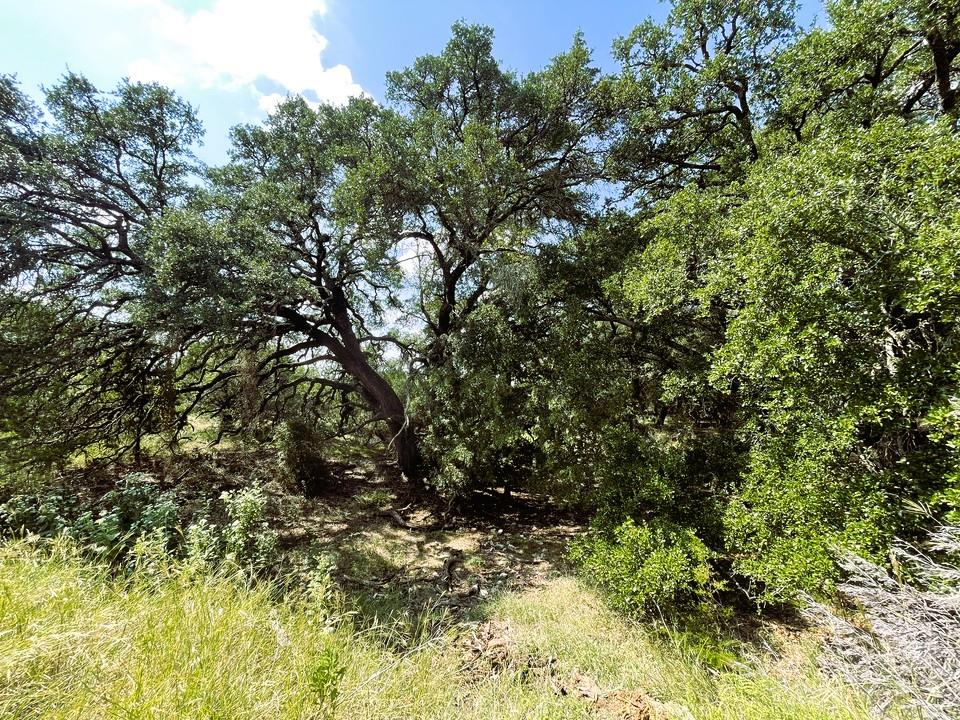 153 Live Oak Mott DR, Goldthwaite, TX 76844
