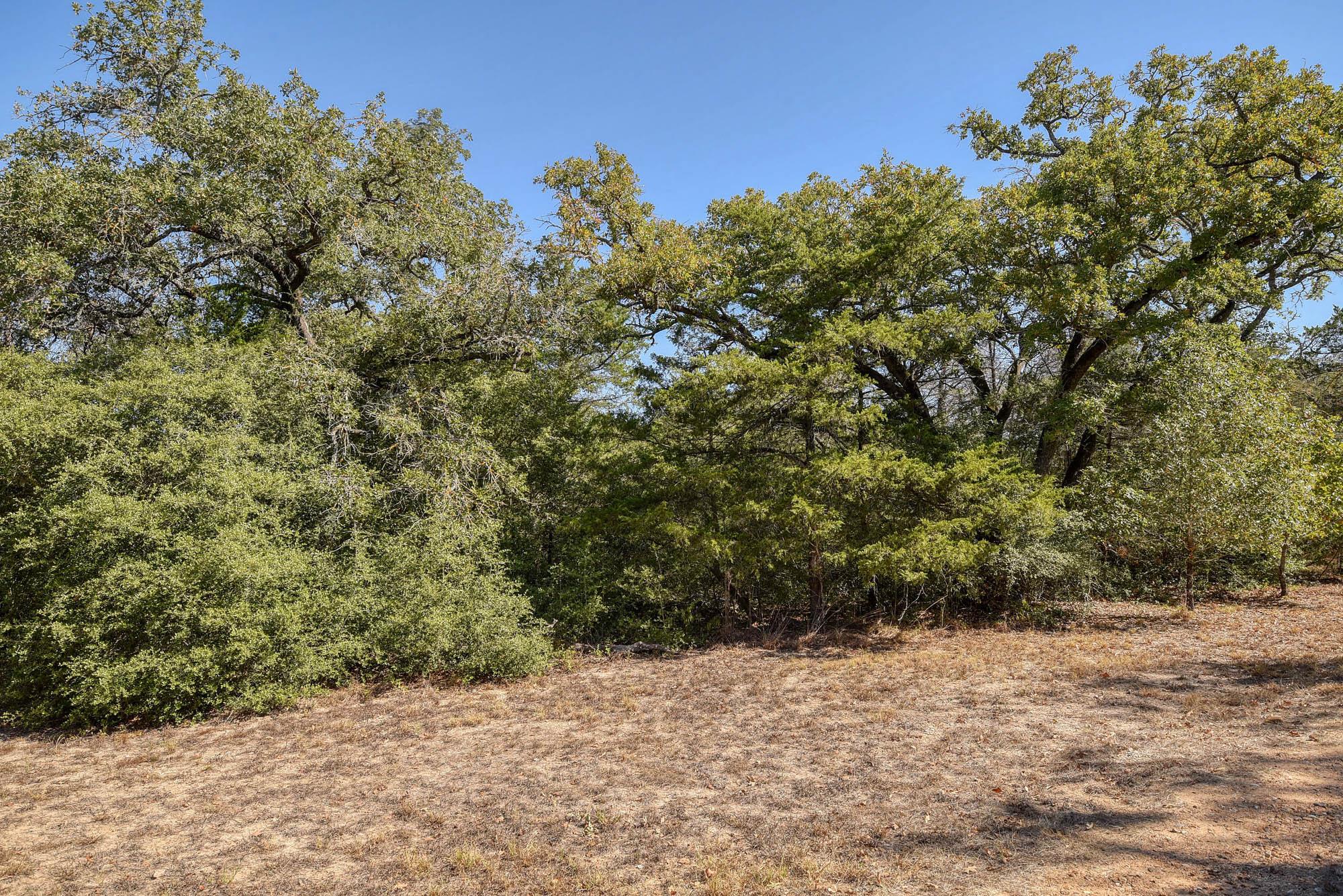 181 Lockwood RD, Red Rock, TX 78662