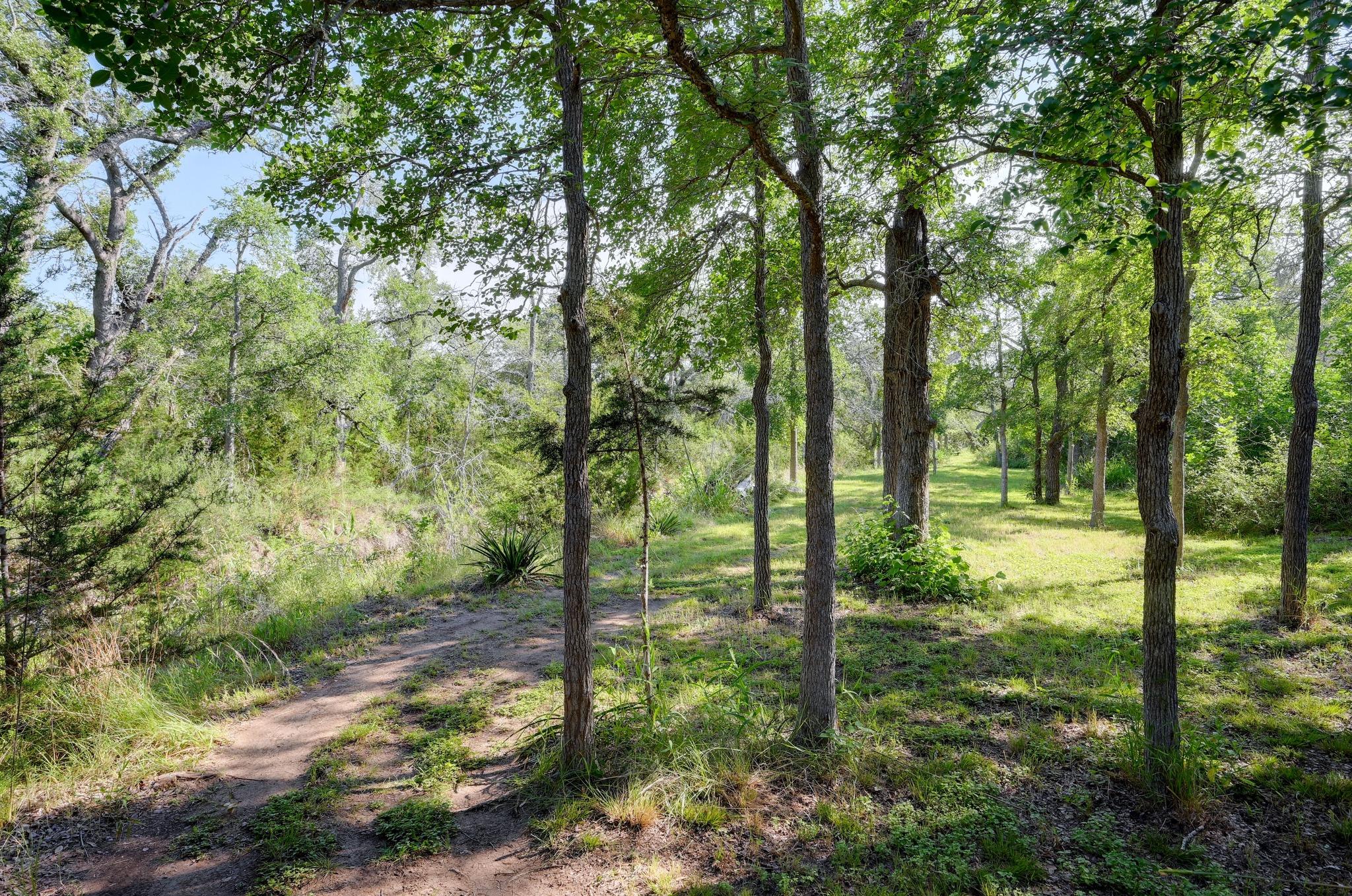 2147 Tejas Trl, Blanco, TX 78606
