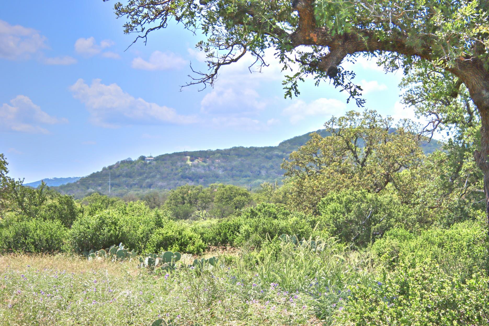 TBD Cr 110 RD, Burnet, TX 78611
