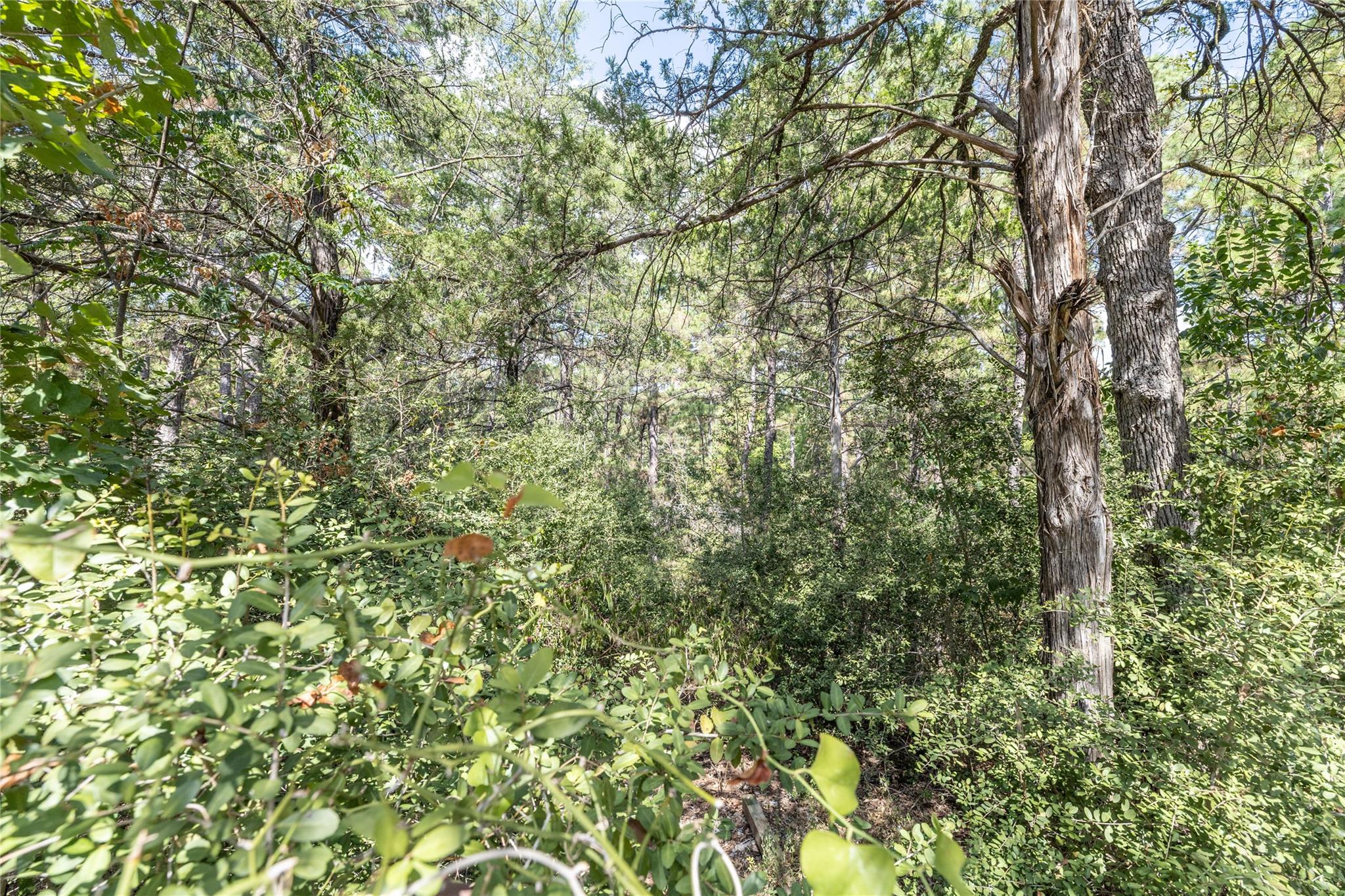 LOT 1263 W Kamoi CT, Bastrop, TX 78602