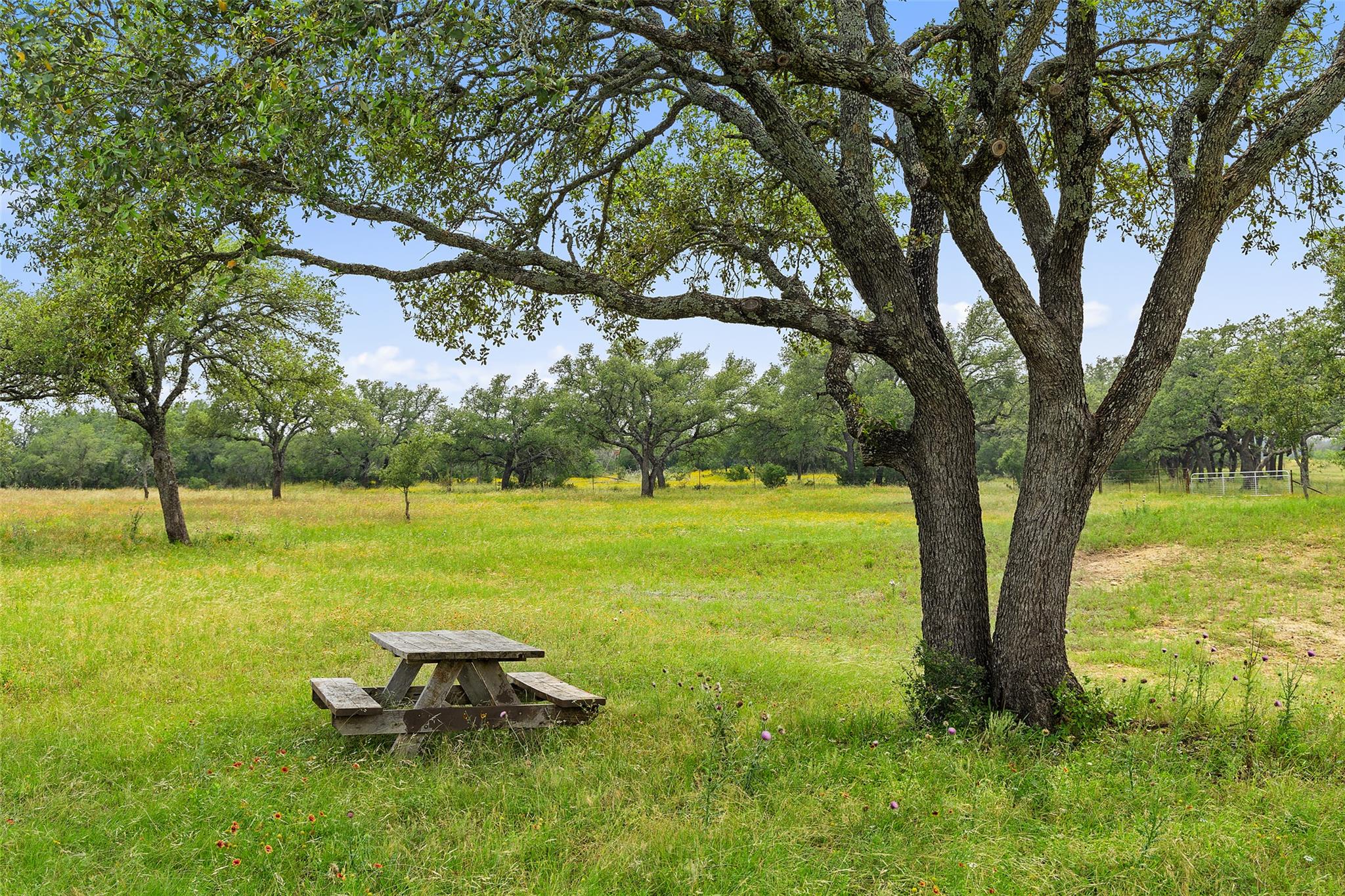 3431 Klett Ranch Rd, Johnson City, TX 78636