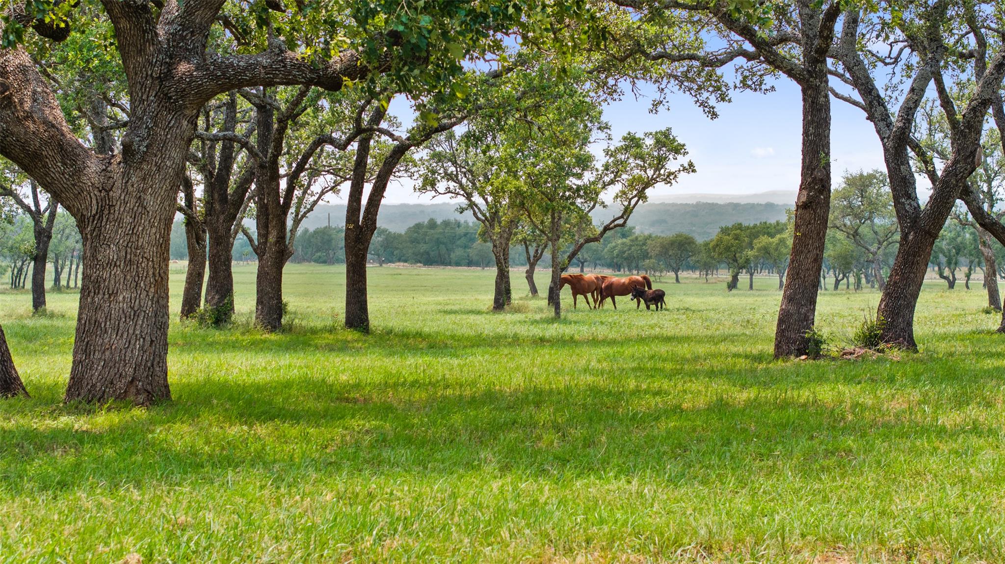 3431 Klett Ranch Rd, Johnson City, TX 78636