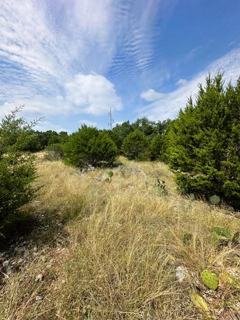 TBD LOT 3 Royal Eagle DR, Fischer, TX 78623
