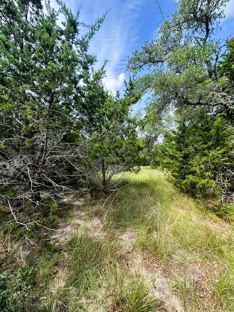 TBD LOT 4 Royal Eagle DR, Fischer, TX 78623
