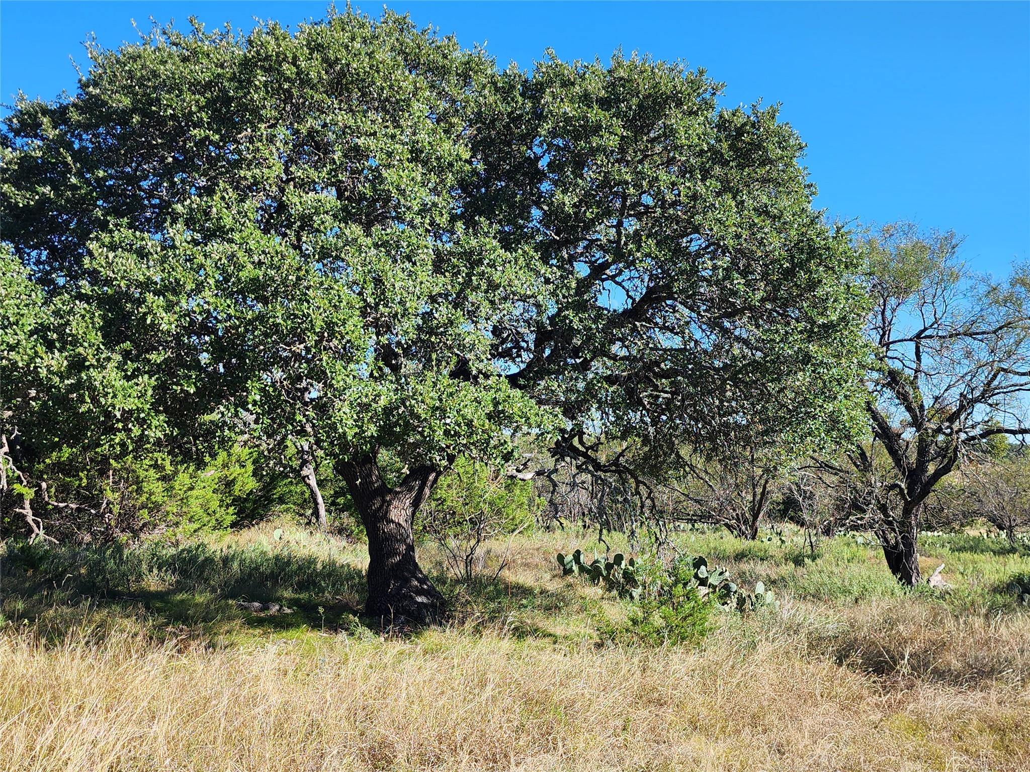 Lot 73 Shin Oak DR, Lampasas, TX 76550