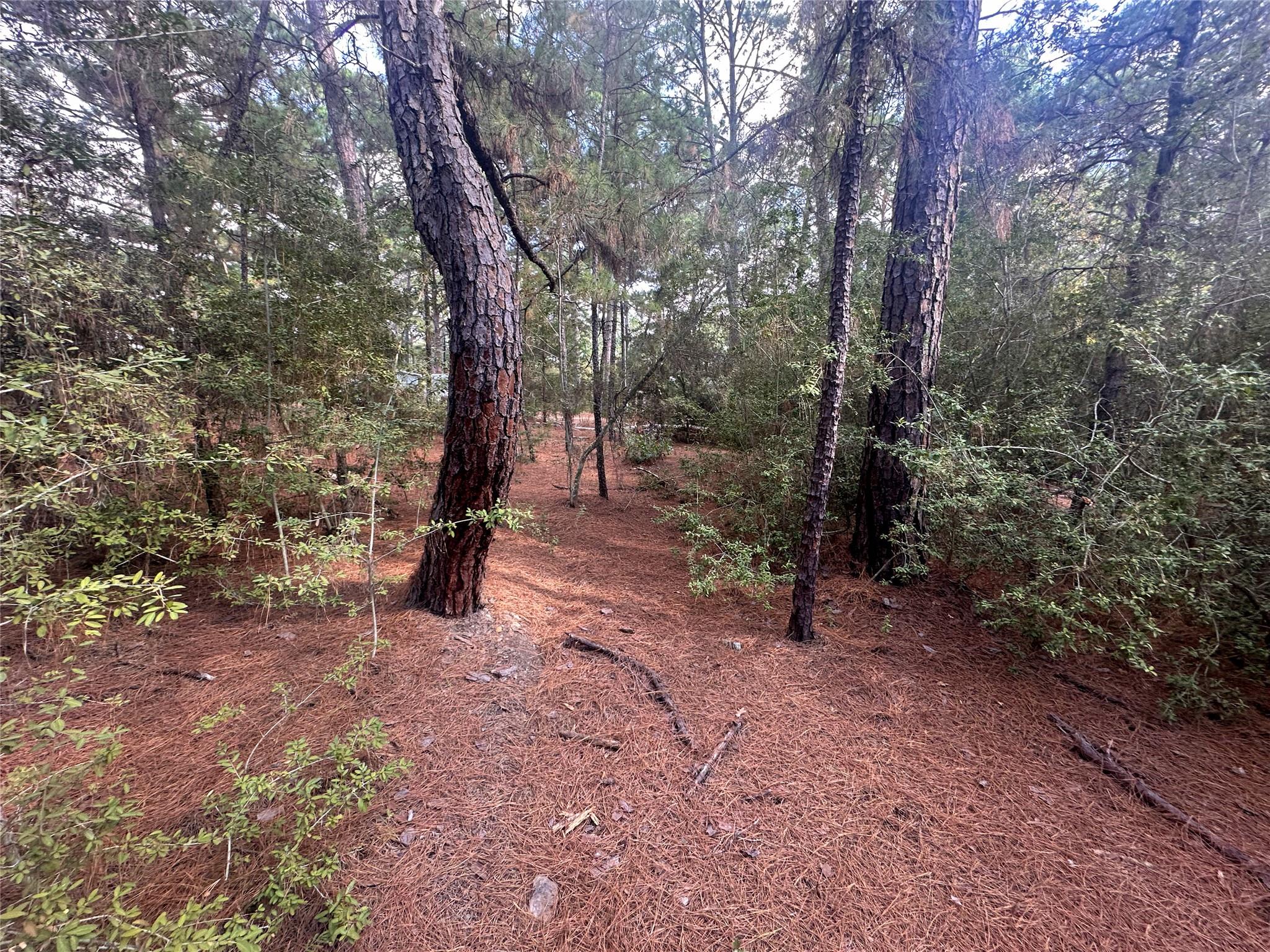 Lot 84 Hill Ridge DR, Bastrop, TX 78602
