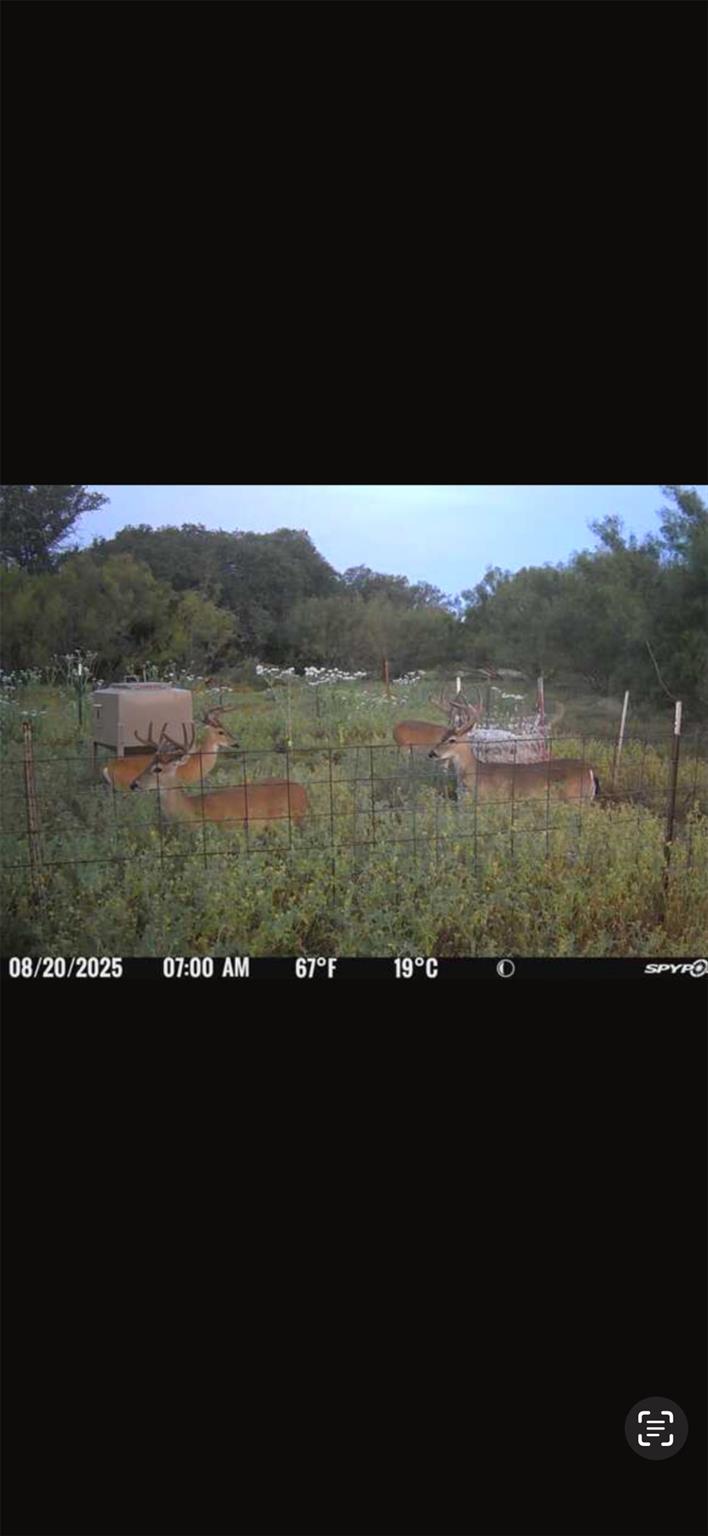 Tract 3 TBD Cr 424, Rochelle, TX 76872