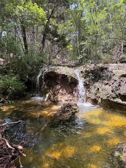 12241 Fitzhugh PL Lot 10, Dripping Springs, TX 78620