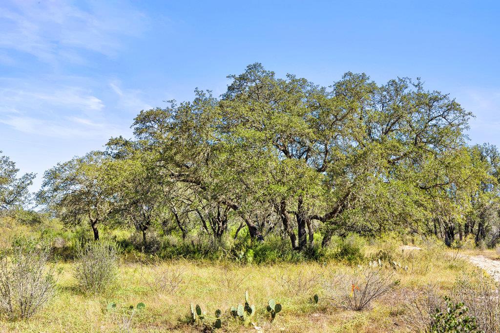 TBD Pedernales Cy, Spicewood, TX 78669