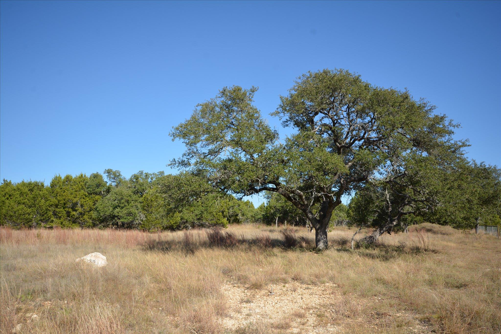 121 S Jesse Stiff DR, Blanco, TX 78606