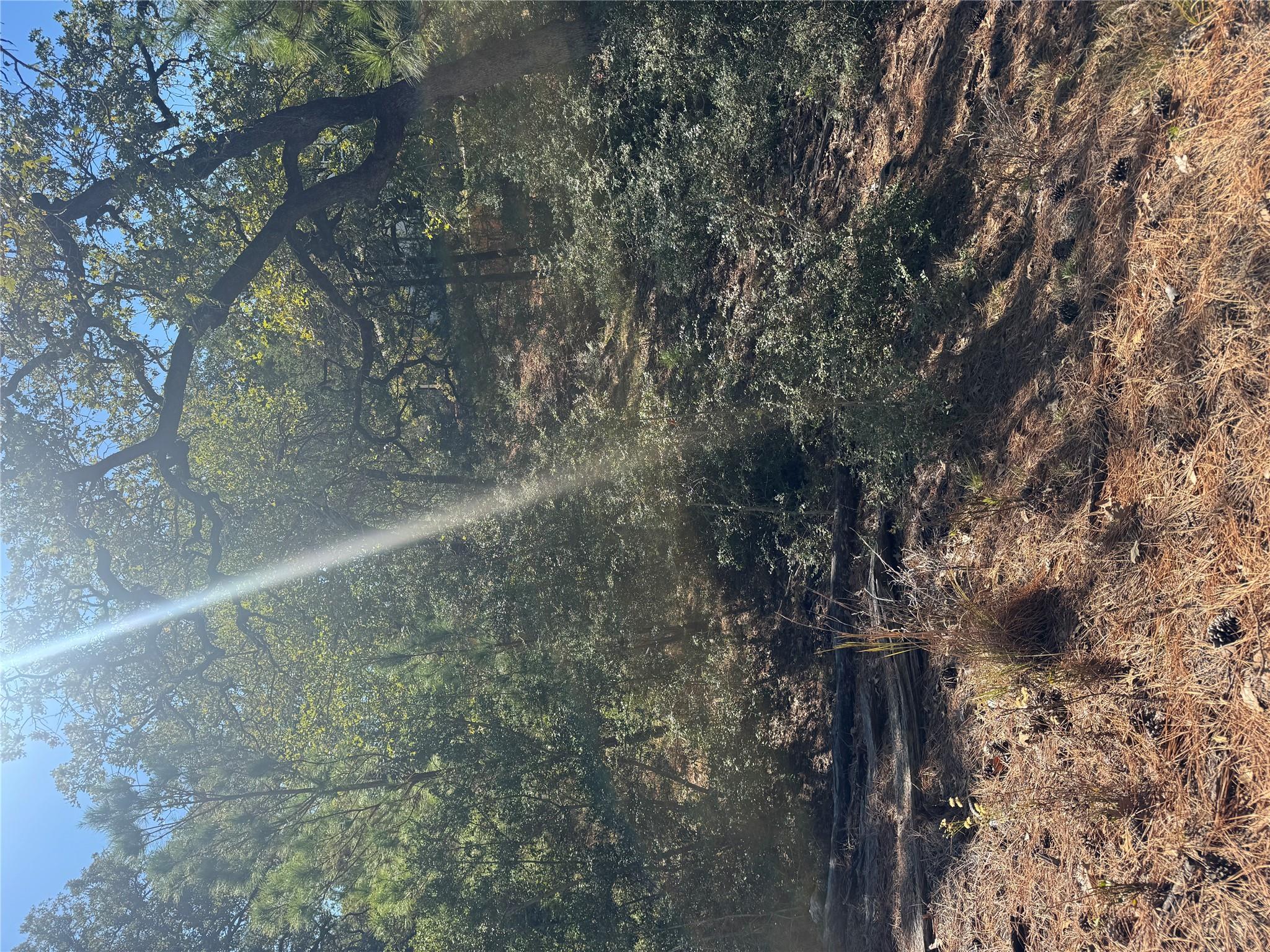 Lot 97 Kaelepulu DR, Bastrop, TX 78602
