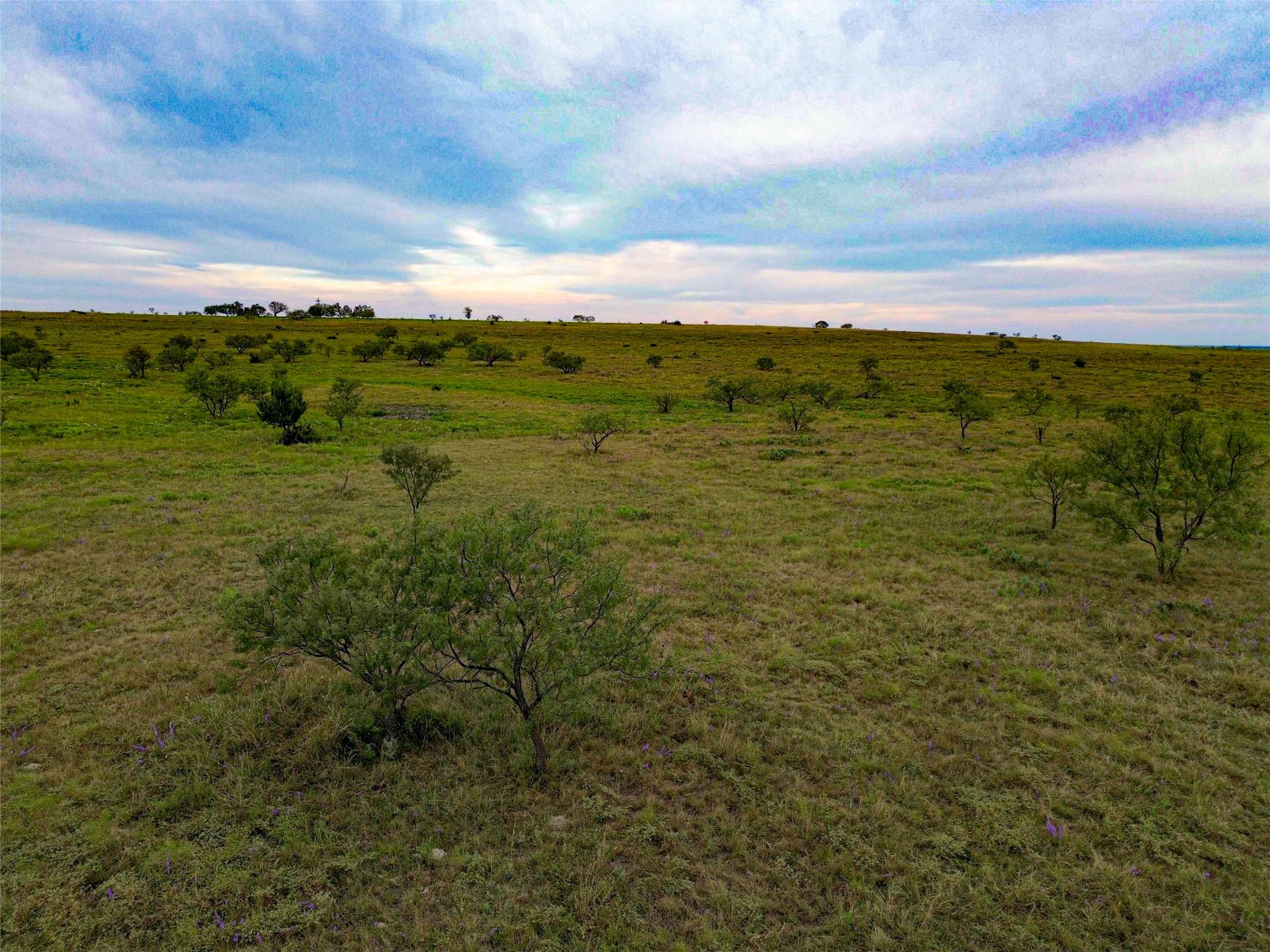 6988 Cr 2109, Lometa, TX 76853