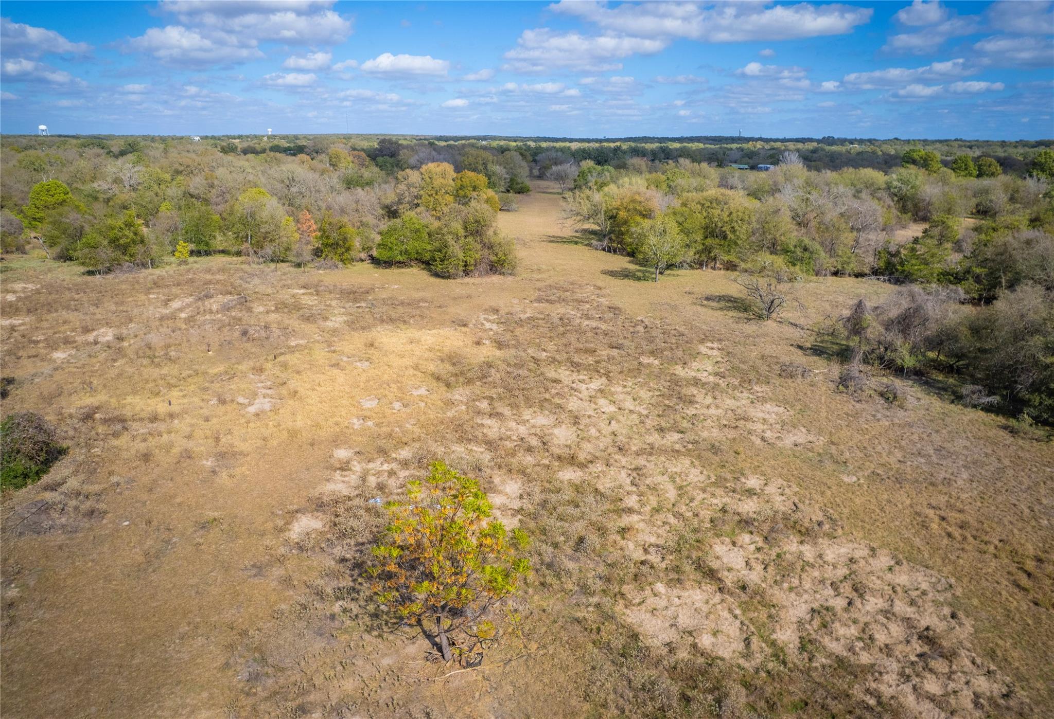 000 Armadillo LN, Bastrop, TX 78602