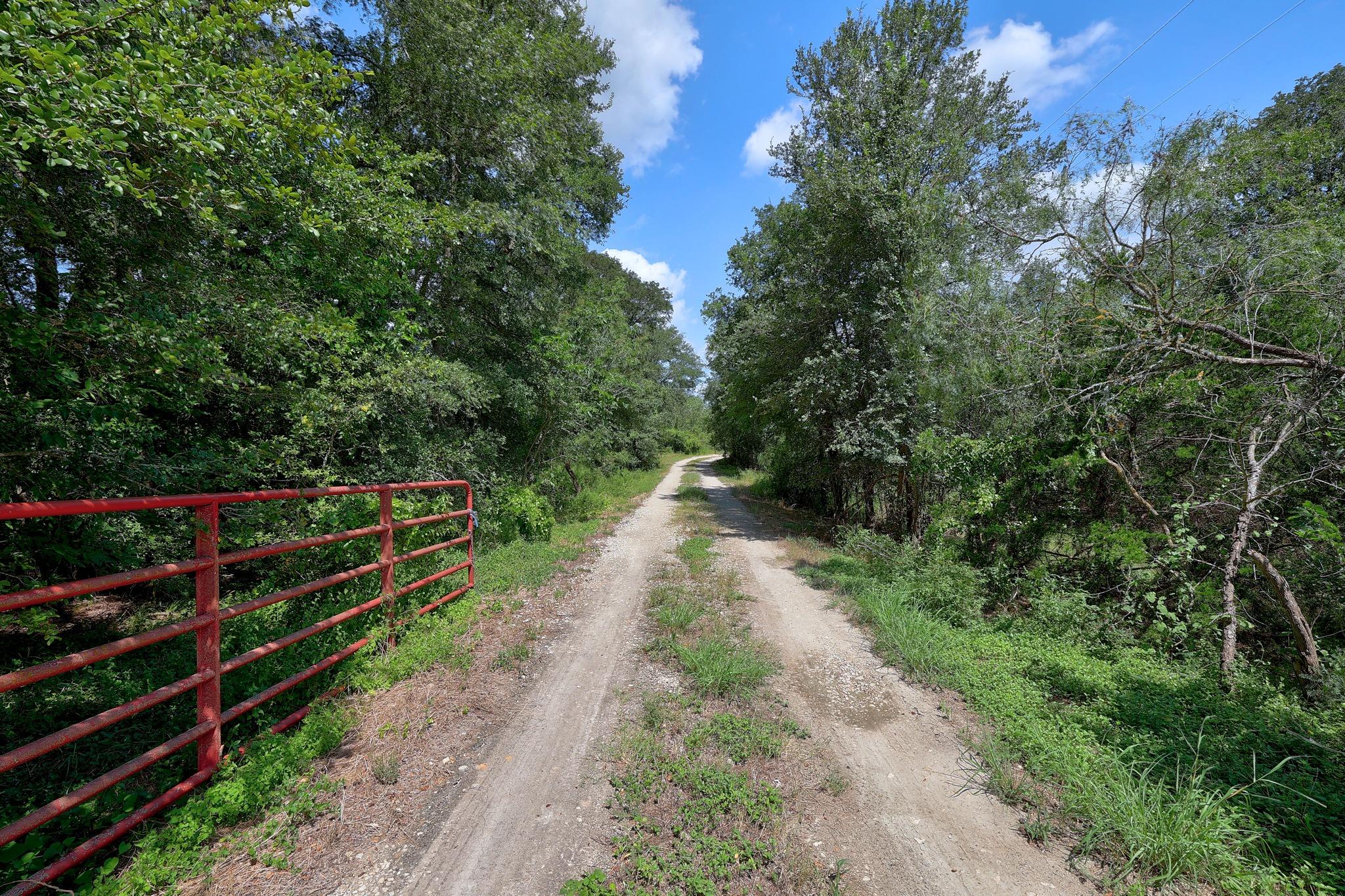 326 The Forest RD, Dale, TX 78616
