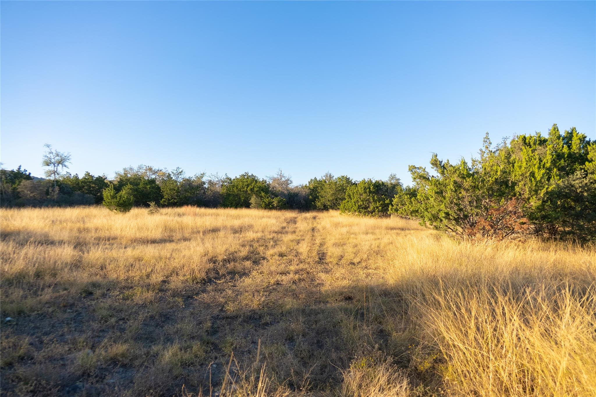 358 Cornelius RD, Utopia, TX 78885