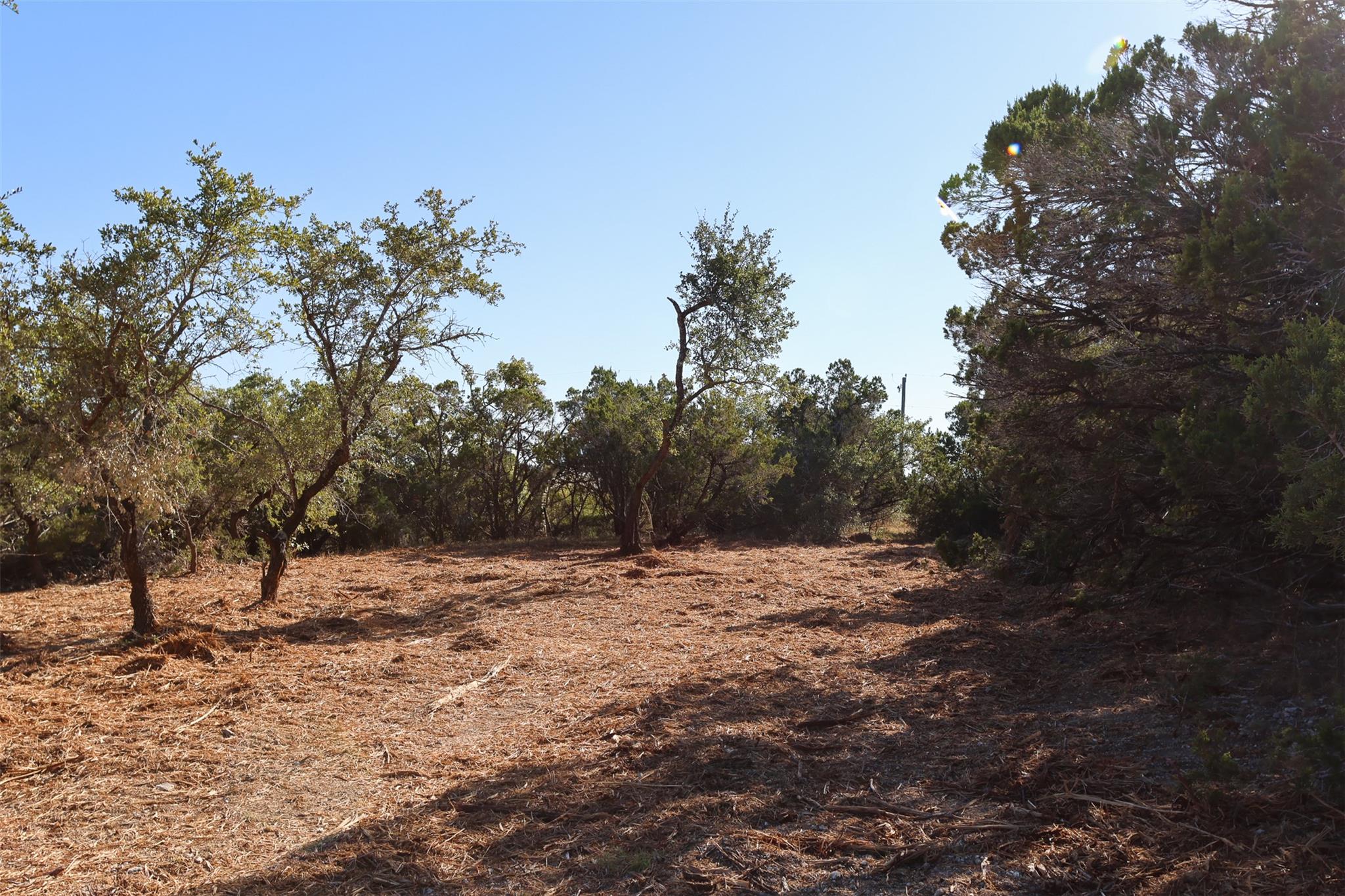 3101 - 4 Longhorn TRL, Wimberley, TX 78676