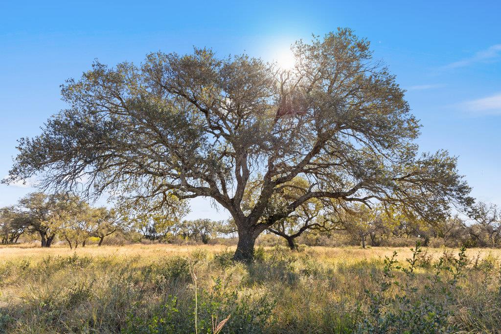 Tract 9 Pedernales Canyon Trl, Spicewood, TX 78669