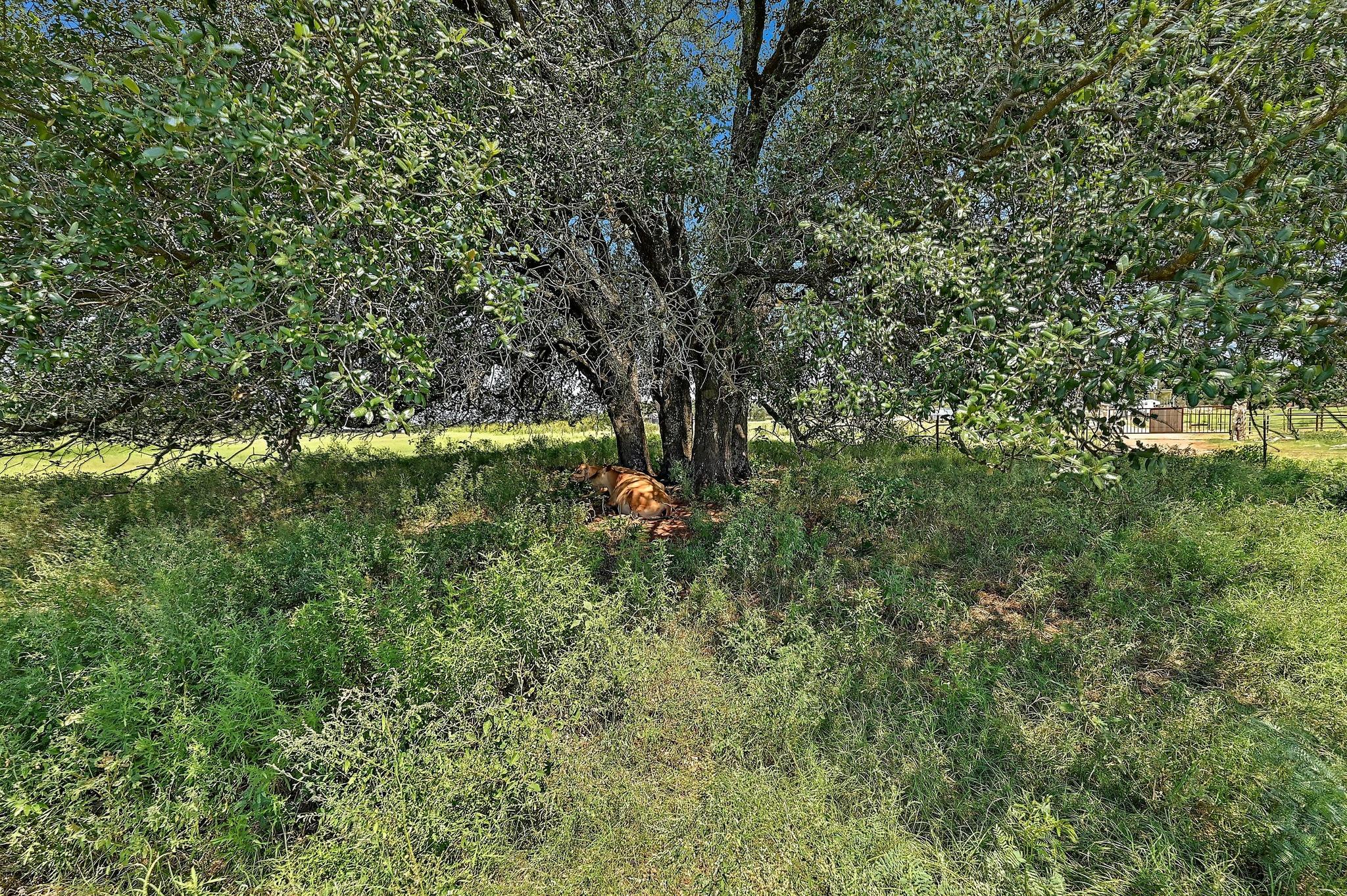 255 Skyline DR, Marble Falls, TX 78654