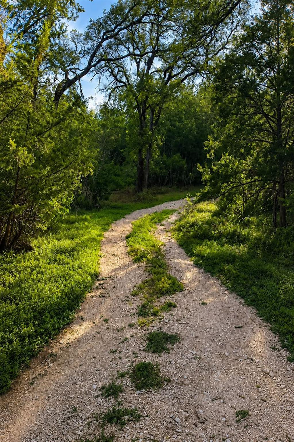 743 Oak MDWS, San Marcos, TX 78666