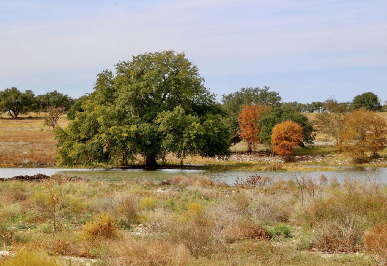 101 Gibbs DR, Liberty Hill, TX 78642