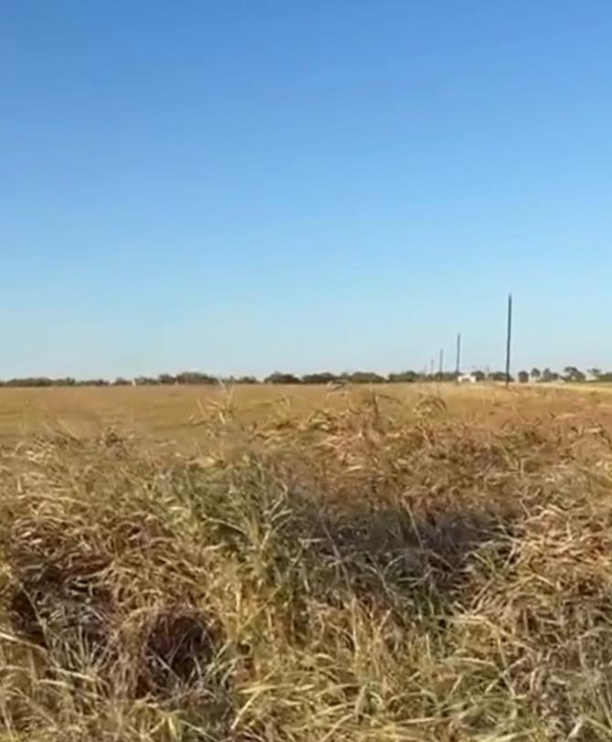 TBD County Road 133 CTR Lot 6, Ben Arnold, TX 76519