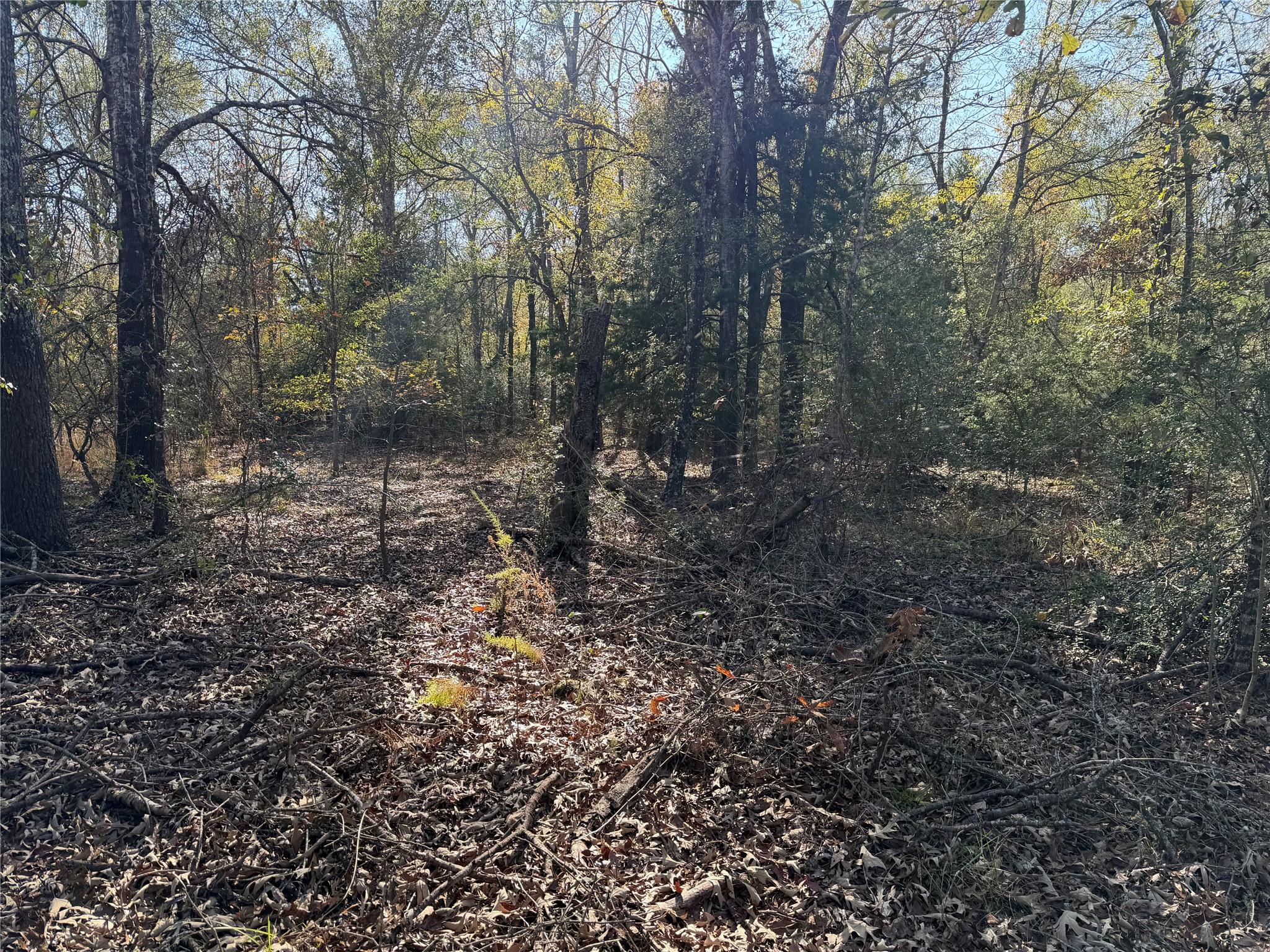 128 County Road 301 Tract 7, Fairfield, TX 75855