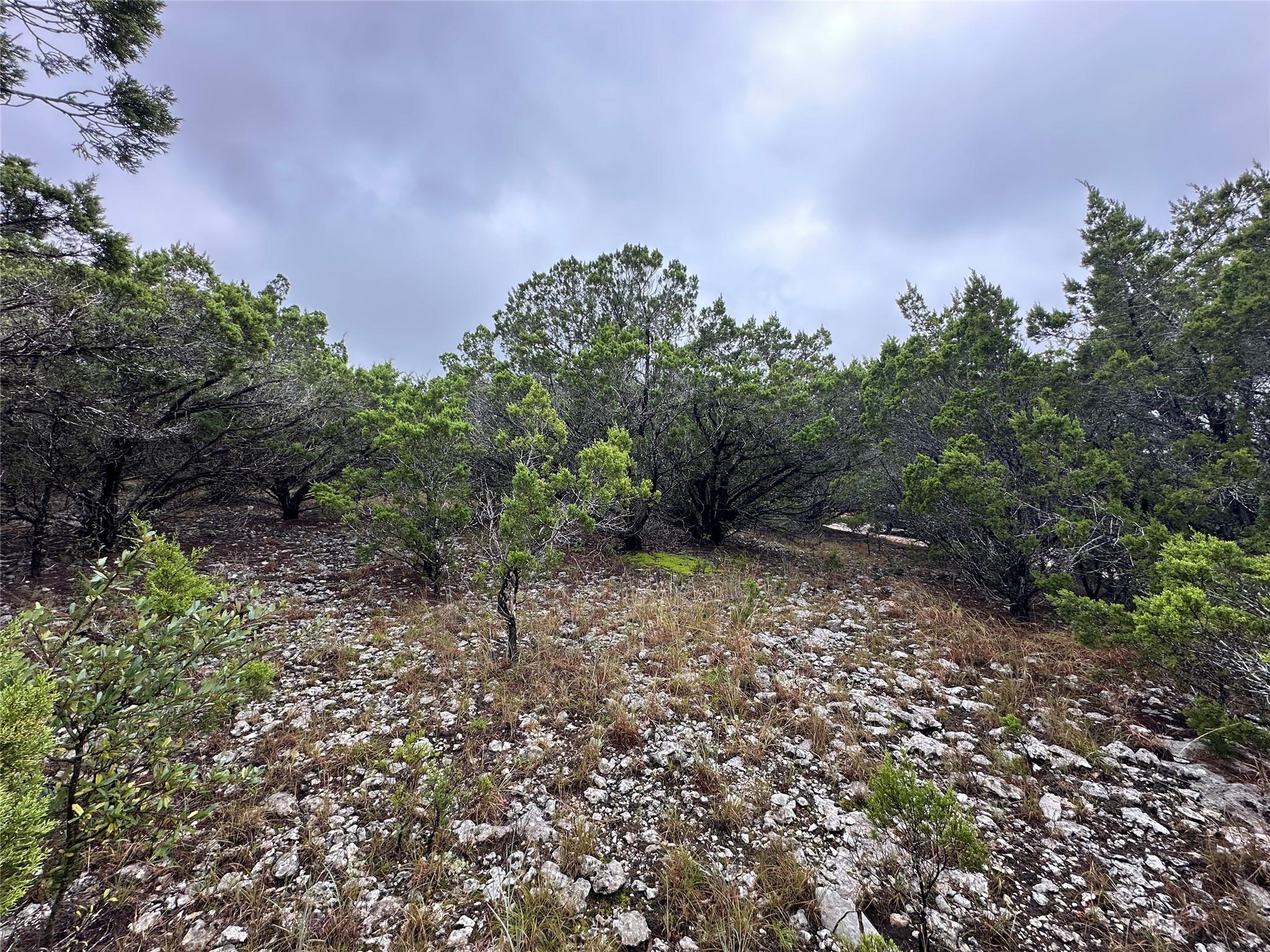 20600 Trinity CV, Lago Vista, TX 78645