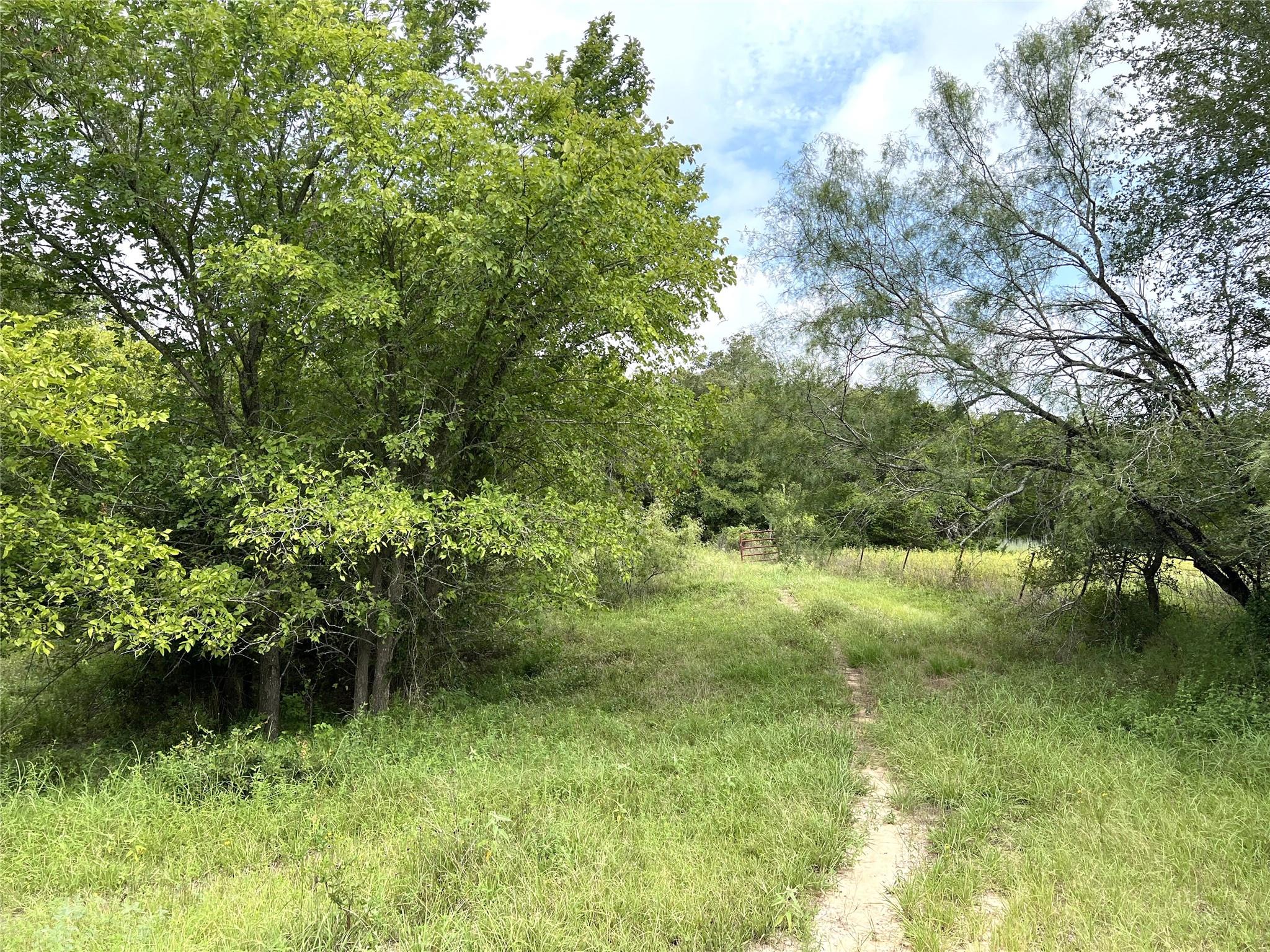 298 Jenkins RD, Cedar Creek, TX 78612