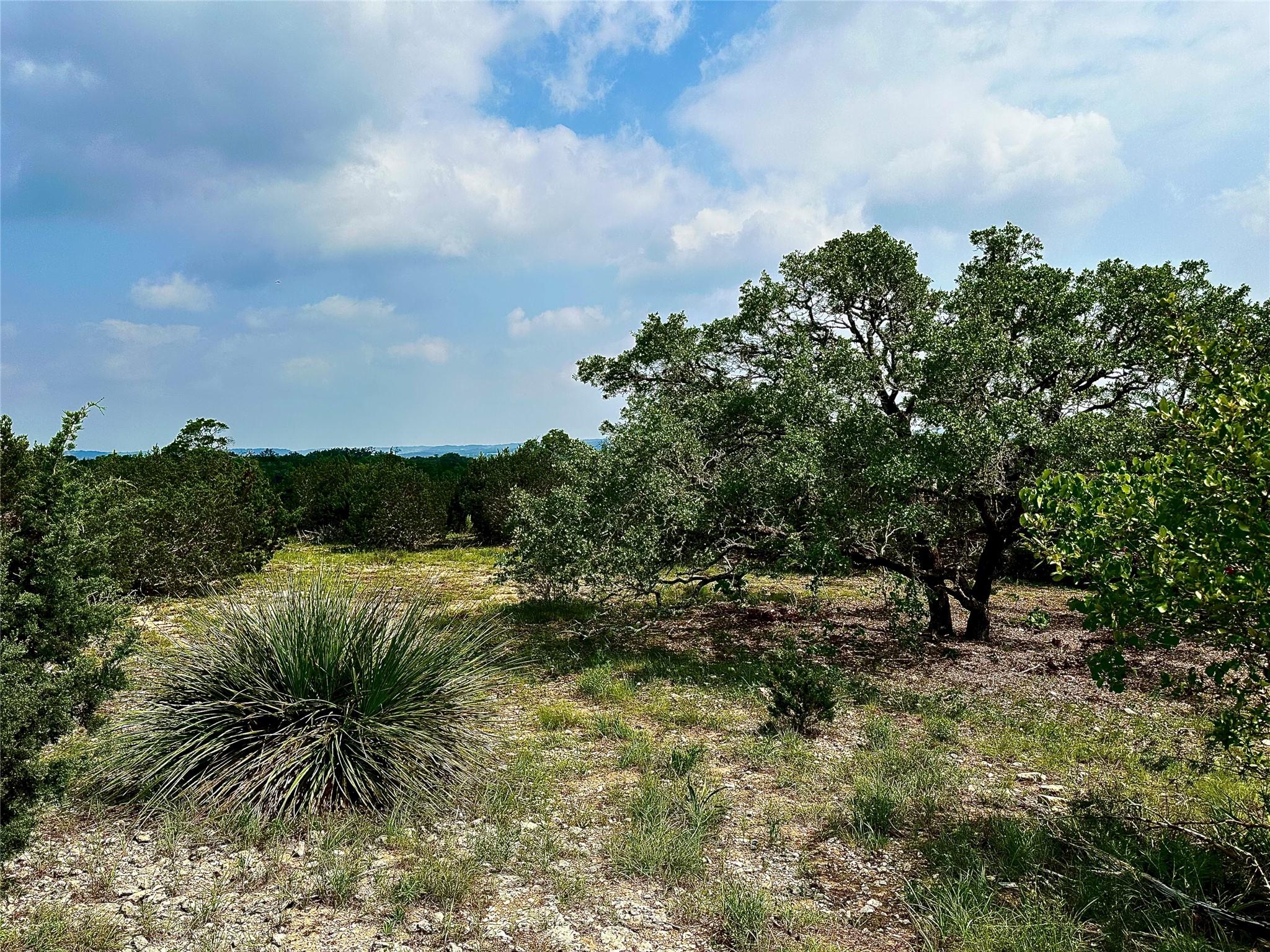 1200 Lipan Apache Rn, Blanco, TX 78606