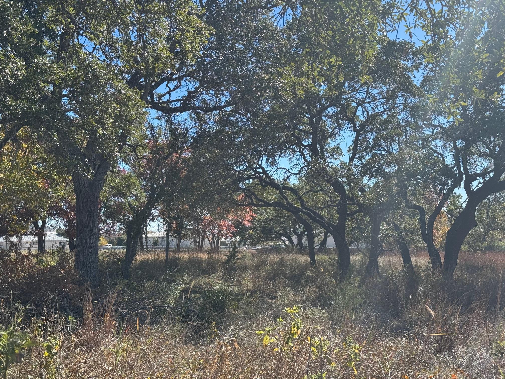 200 - 250 Sportsplex DR, Dripping Springs, TX 78620