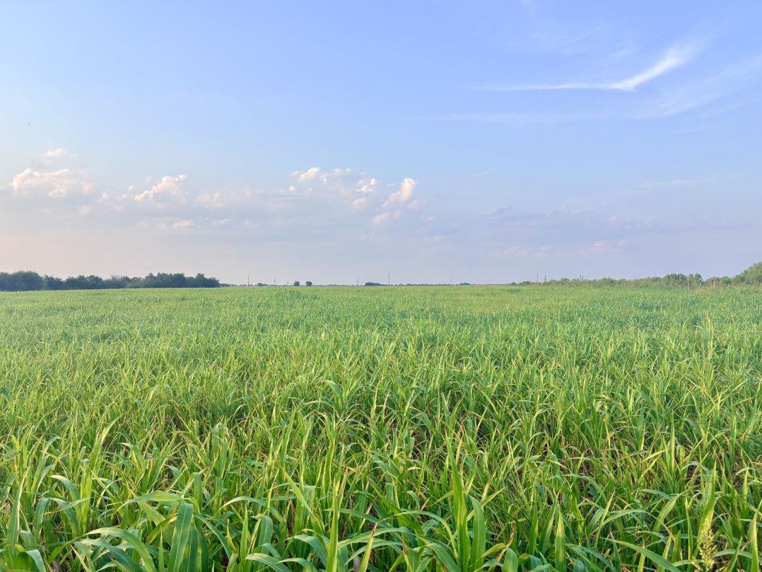 366 County Road 123, Buckholts, TX 76518