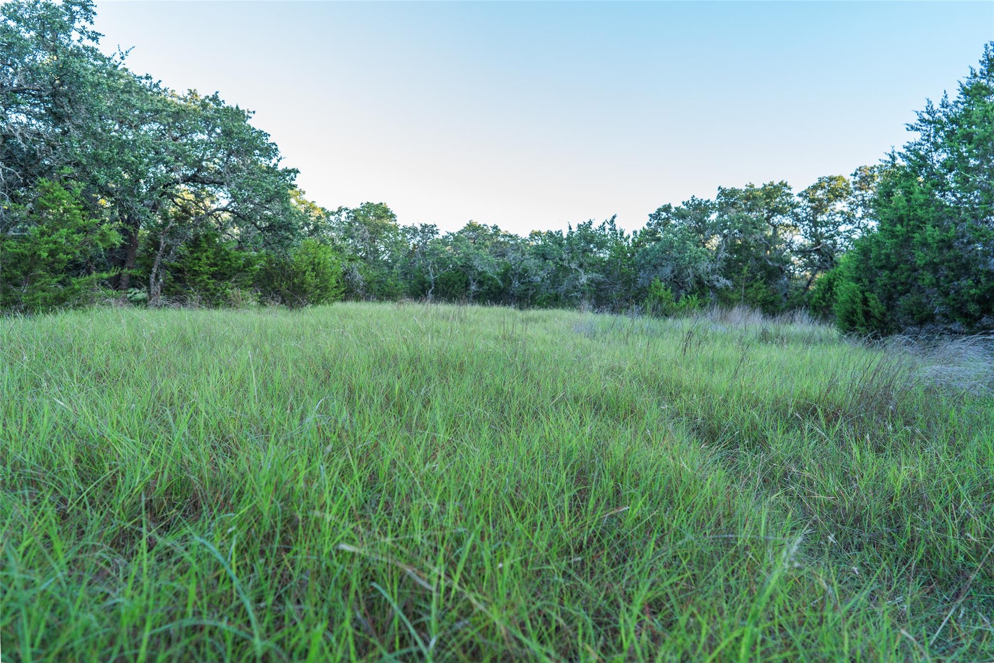 TBD Crabapple RD, Blanco, TX 78606