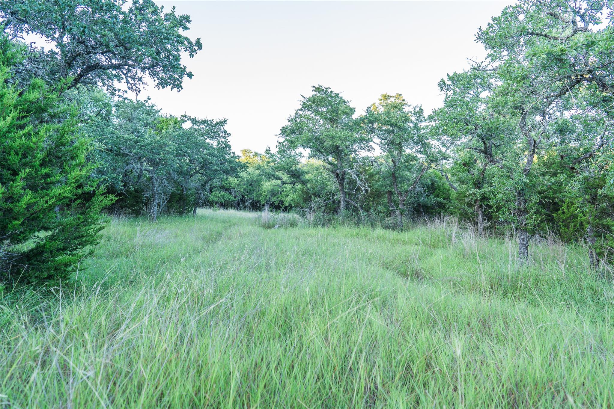 TBD Crabapple RD, Blanco, TX 78606