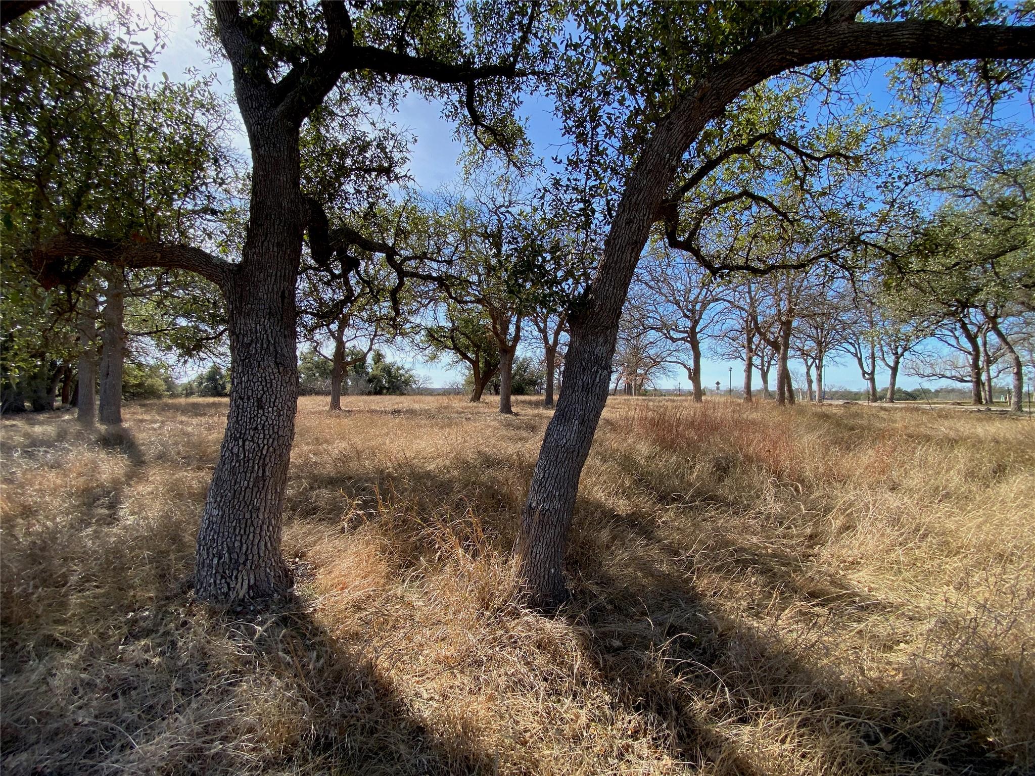 304 Lightning Ranch PT, Georgetown, TX 78628
